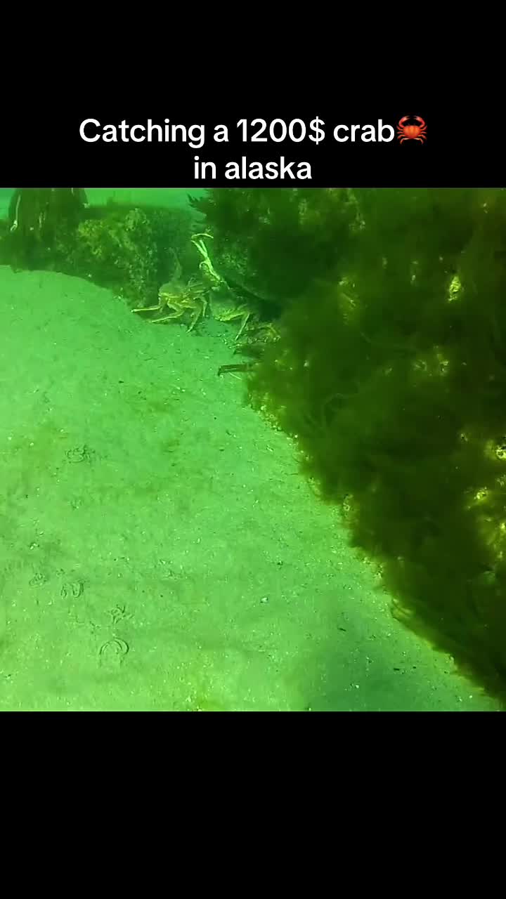 @fishy7780