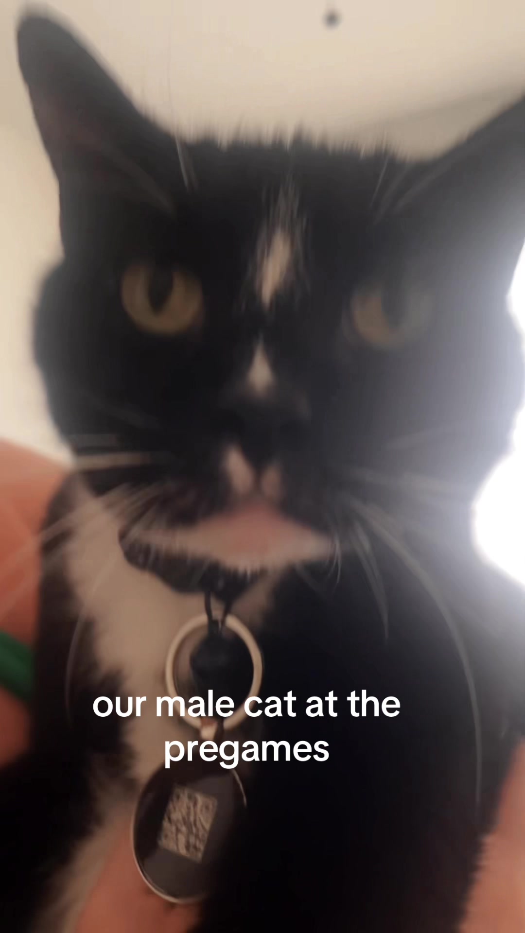 @kate