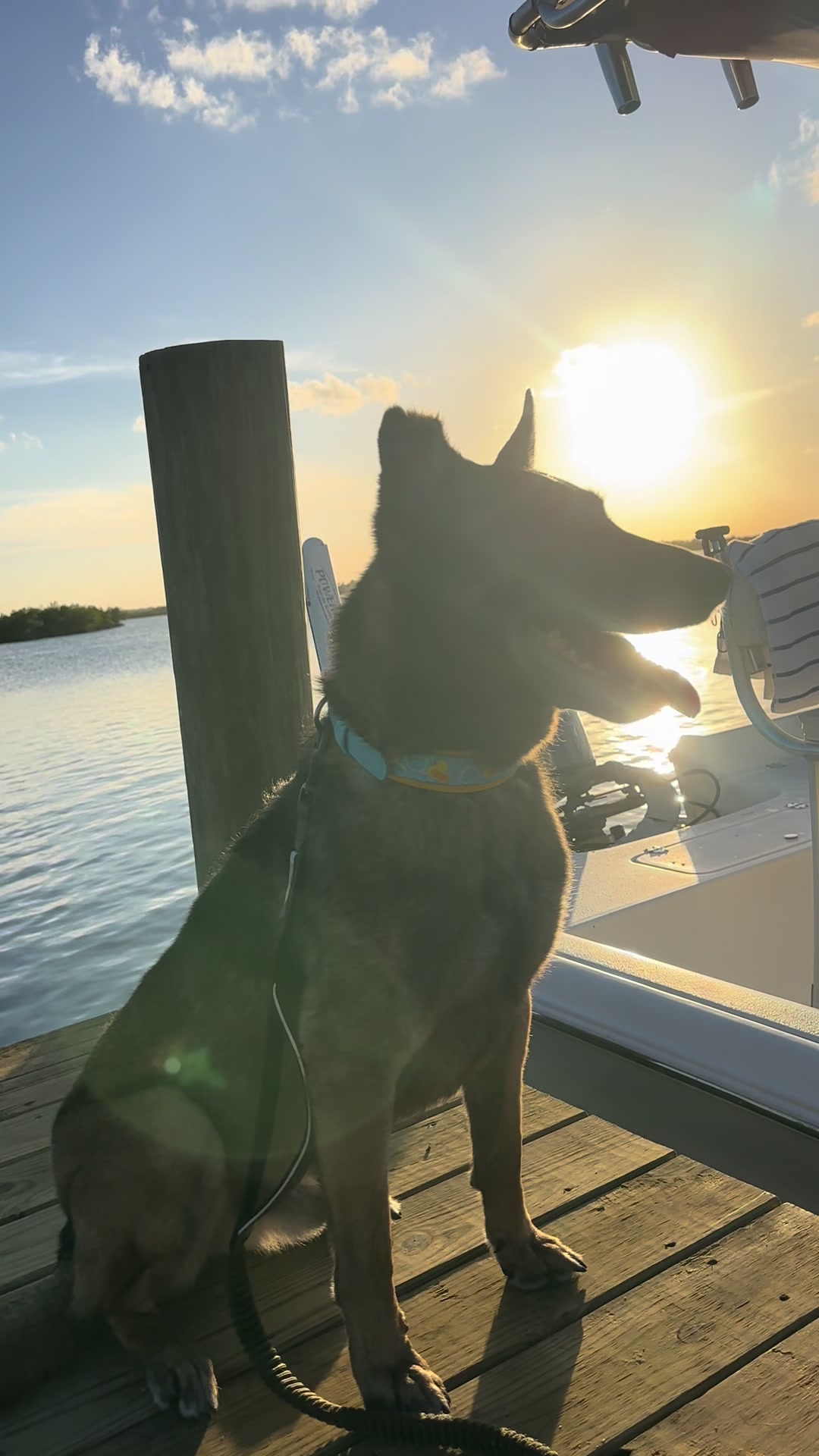 @K9.corporal