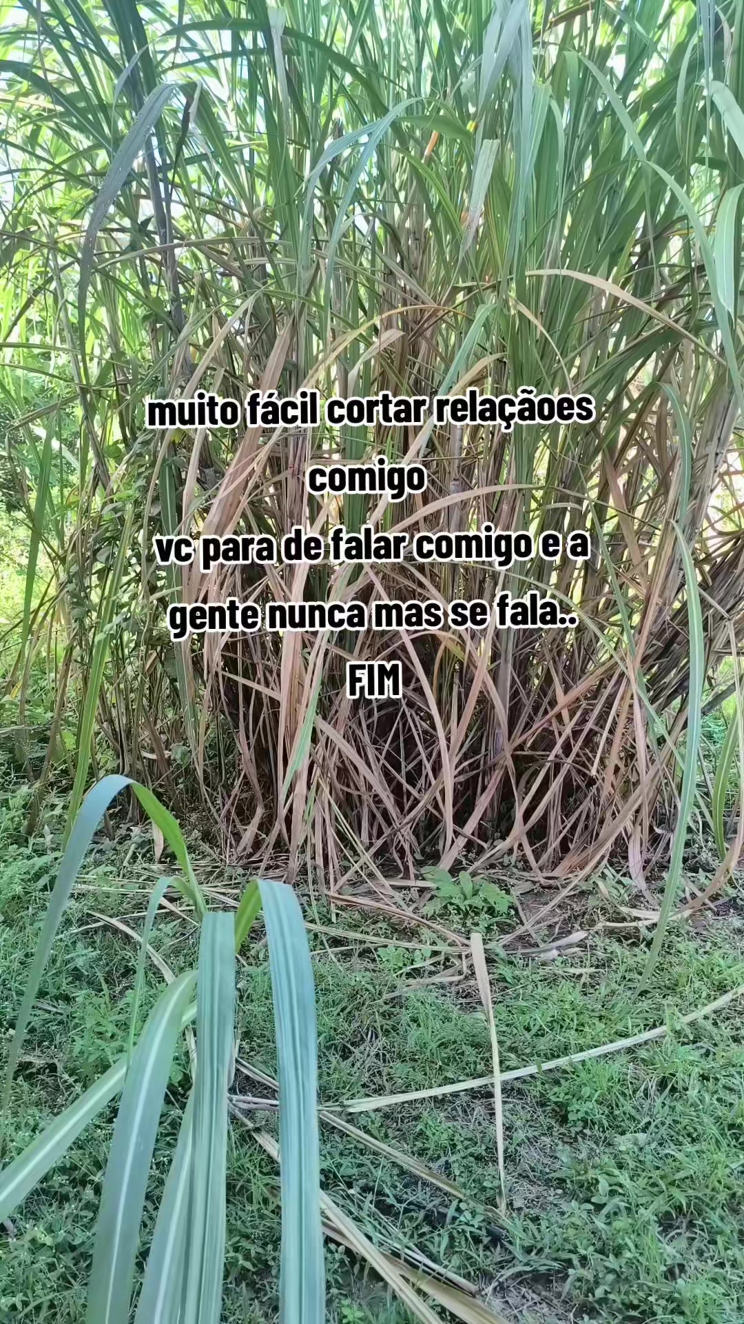 @Kerli Santos