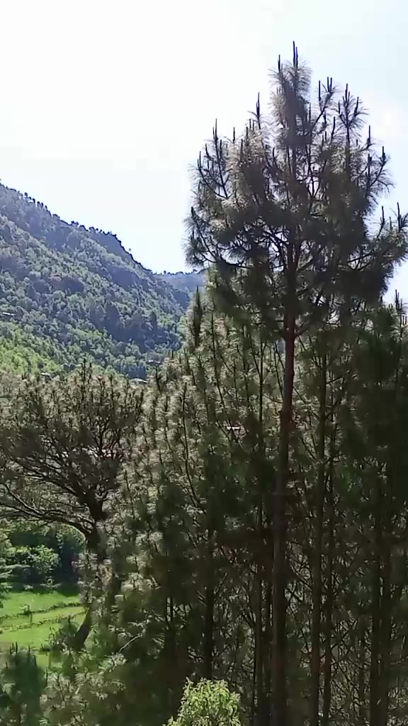 @چوہدری اخلاق احمد