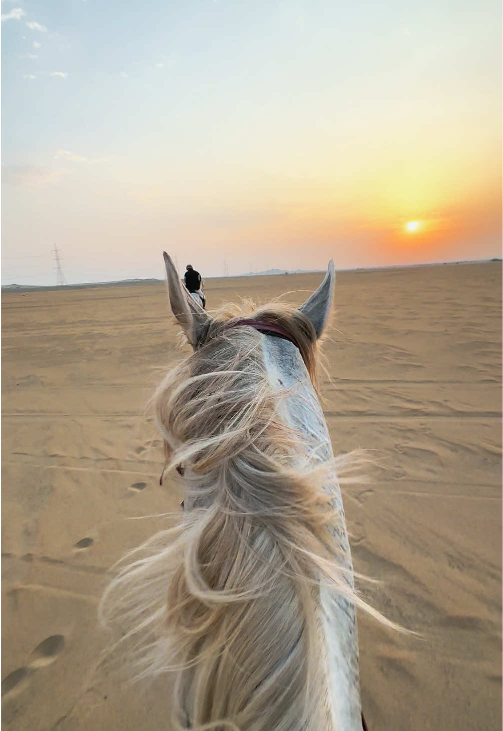 @ميكاسَا العَرب 🌟