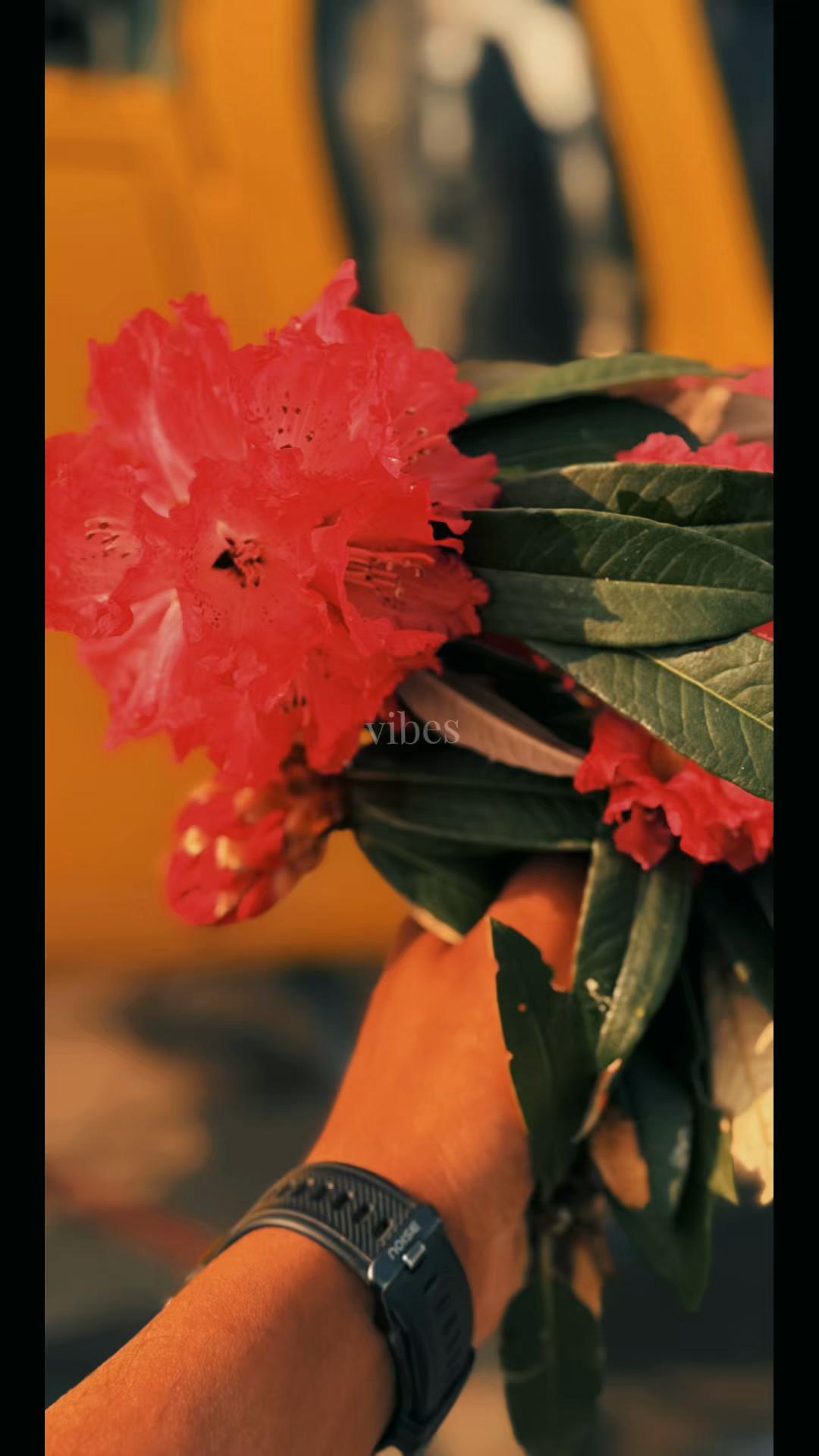 @Rakesh Shah