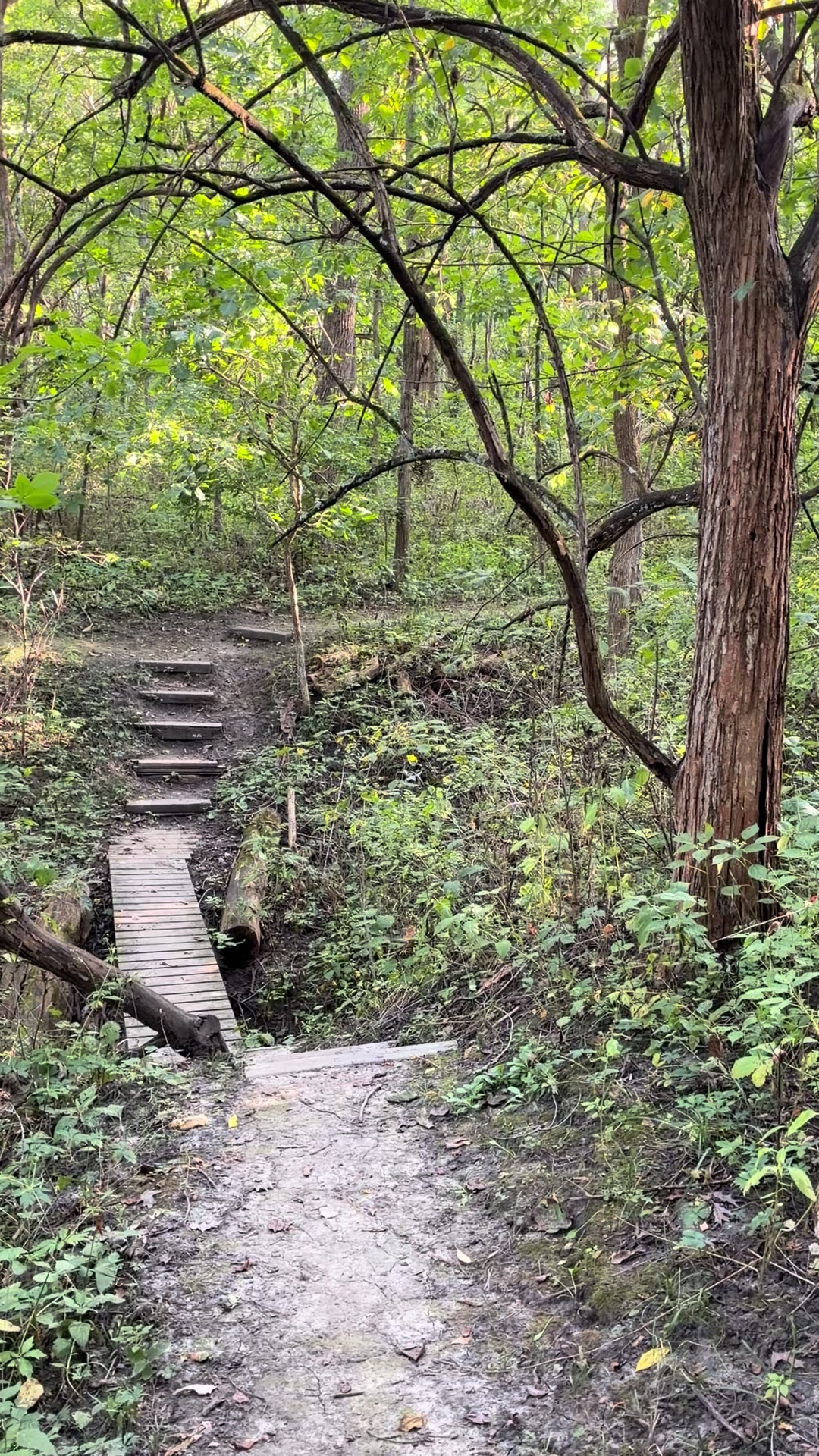 @Hikingwithstanley