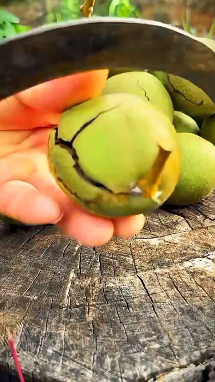 @◉‿◉