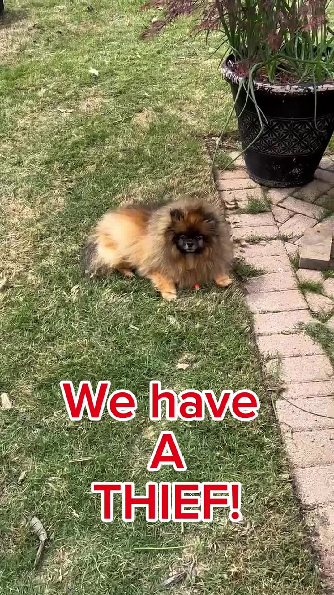@all.my.babies