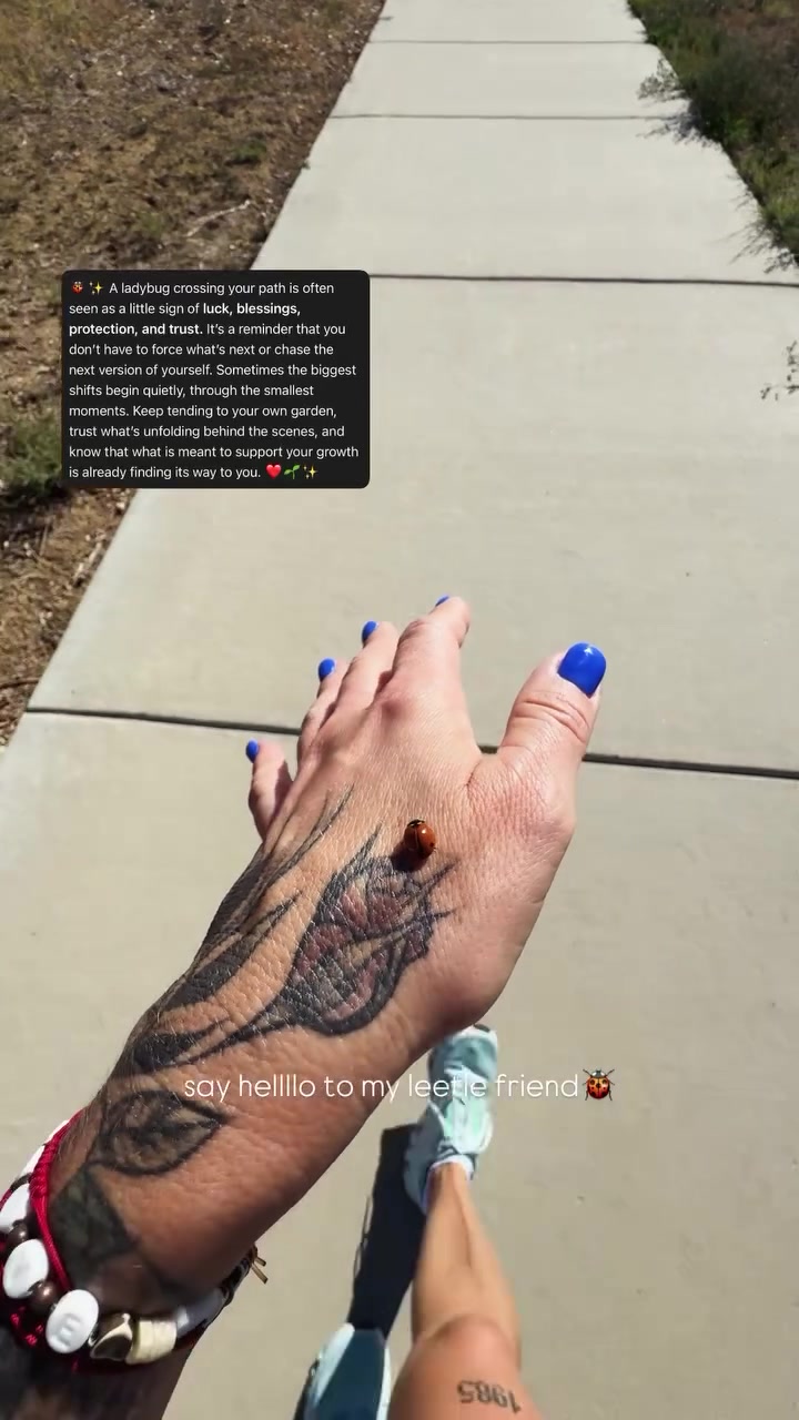 @Kaseyactivates