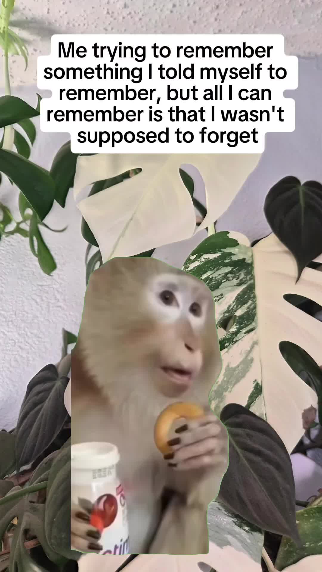 @Yaneli