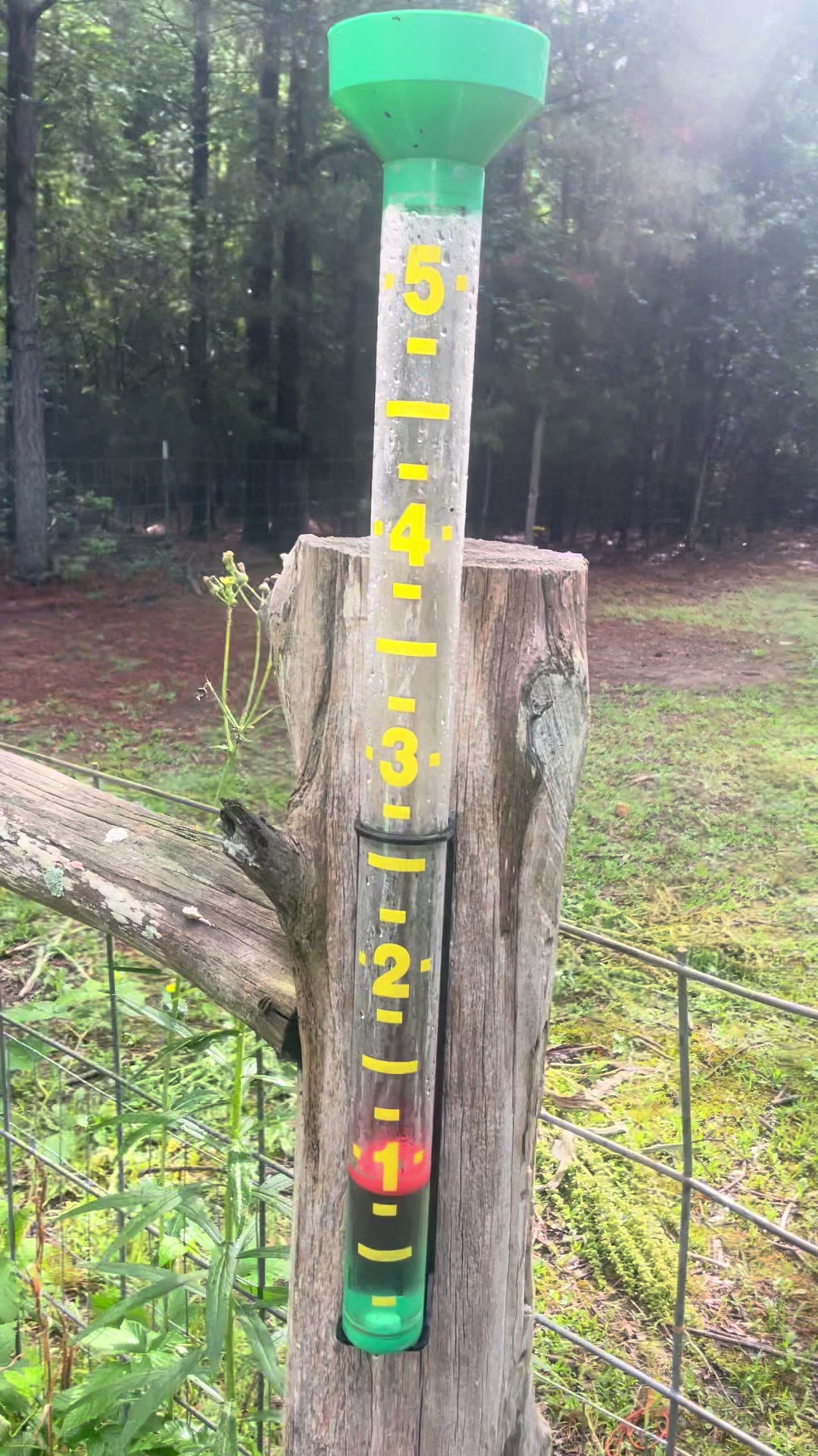@Gray Acres Homestead