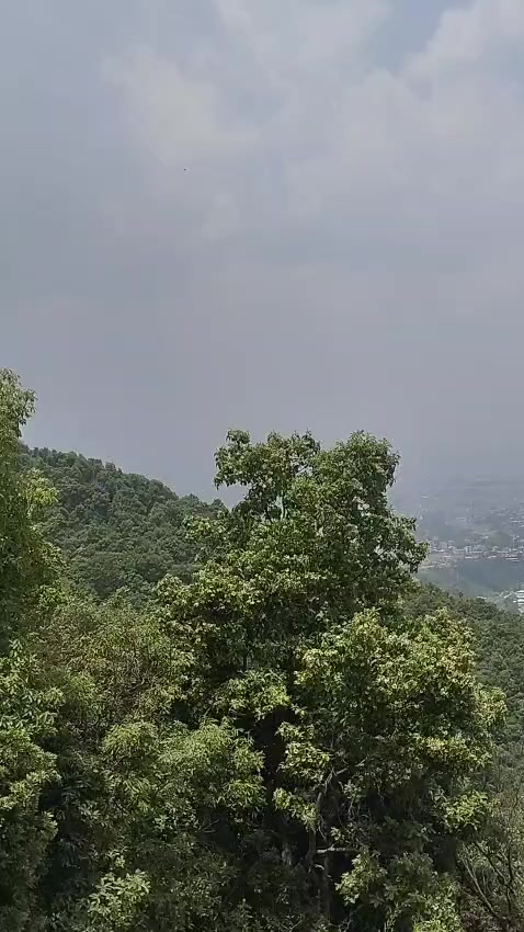 @Sabitri Nepal