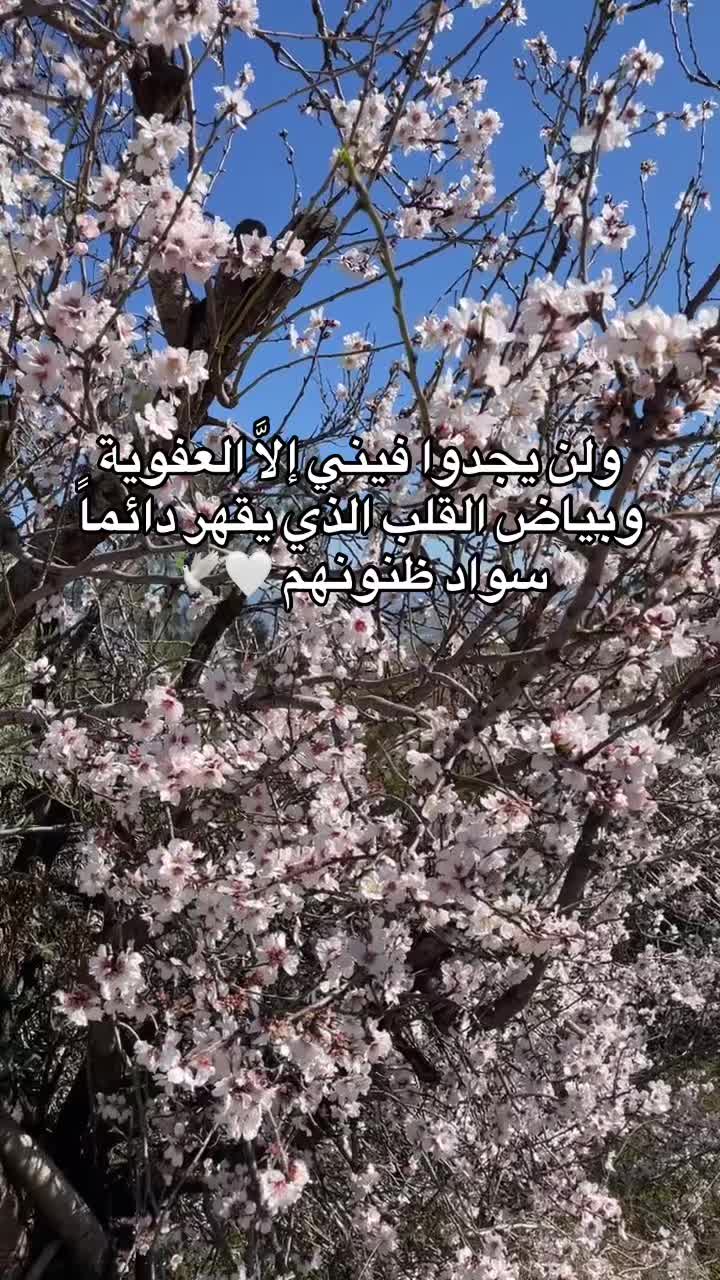 @WiixXouu