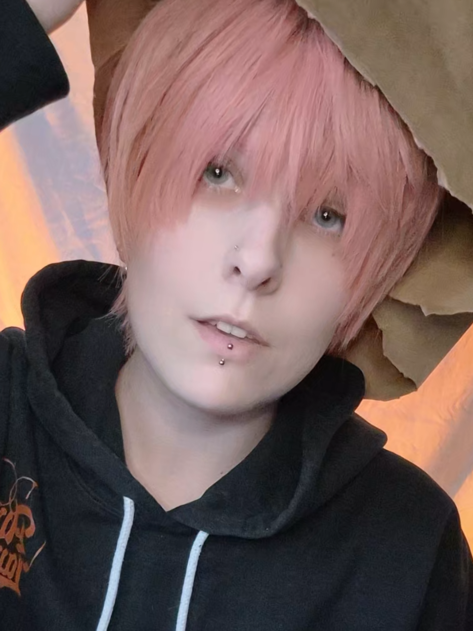 @krysa.png
