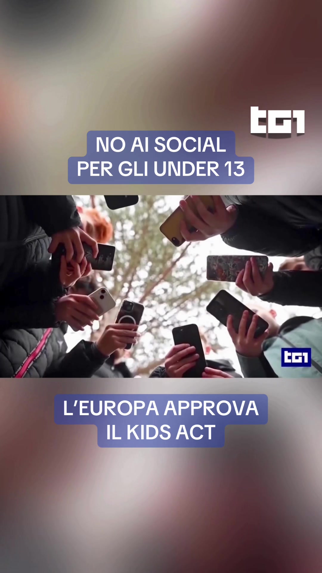 @Tg1Rai