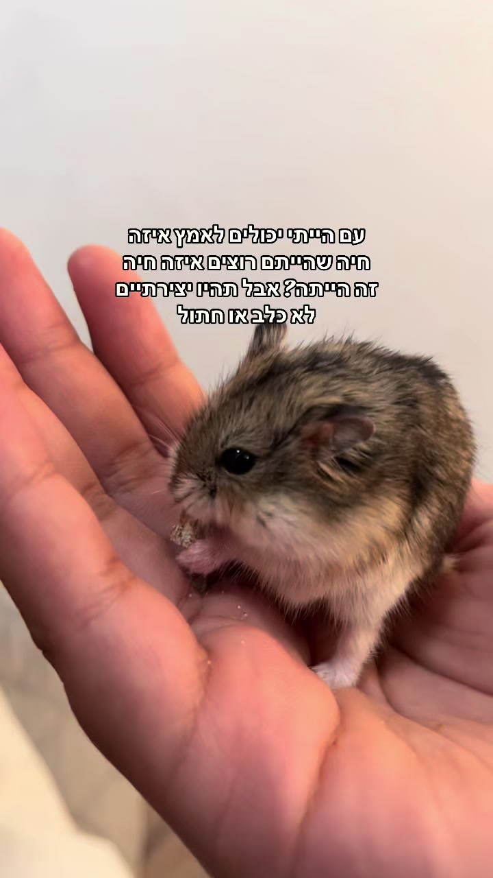 @ๅฝผๅฅณใซ ๐ฃ๐ง