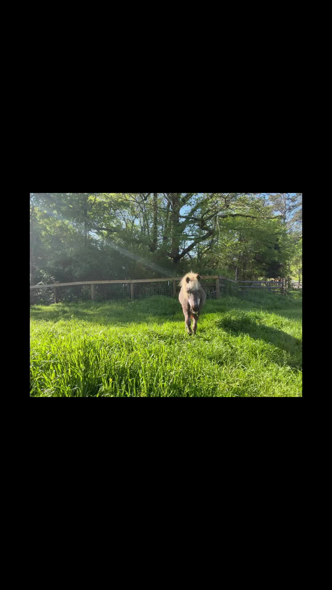 @Cedarhill Animal Sanctuary