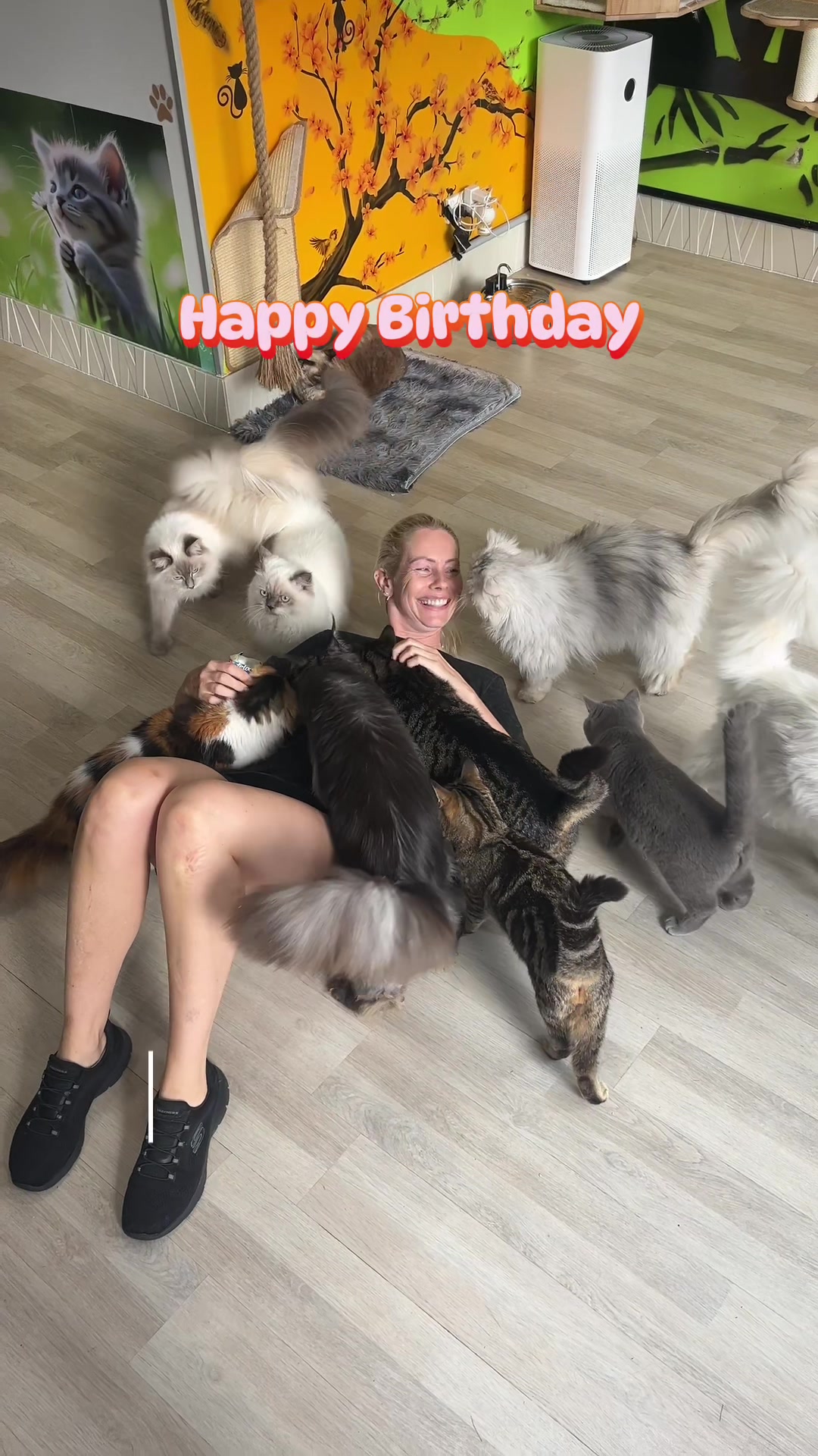 @crazycatcafe