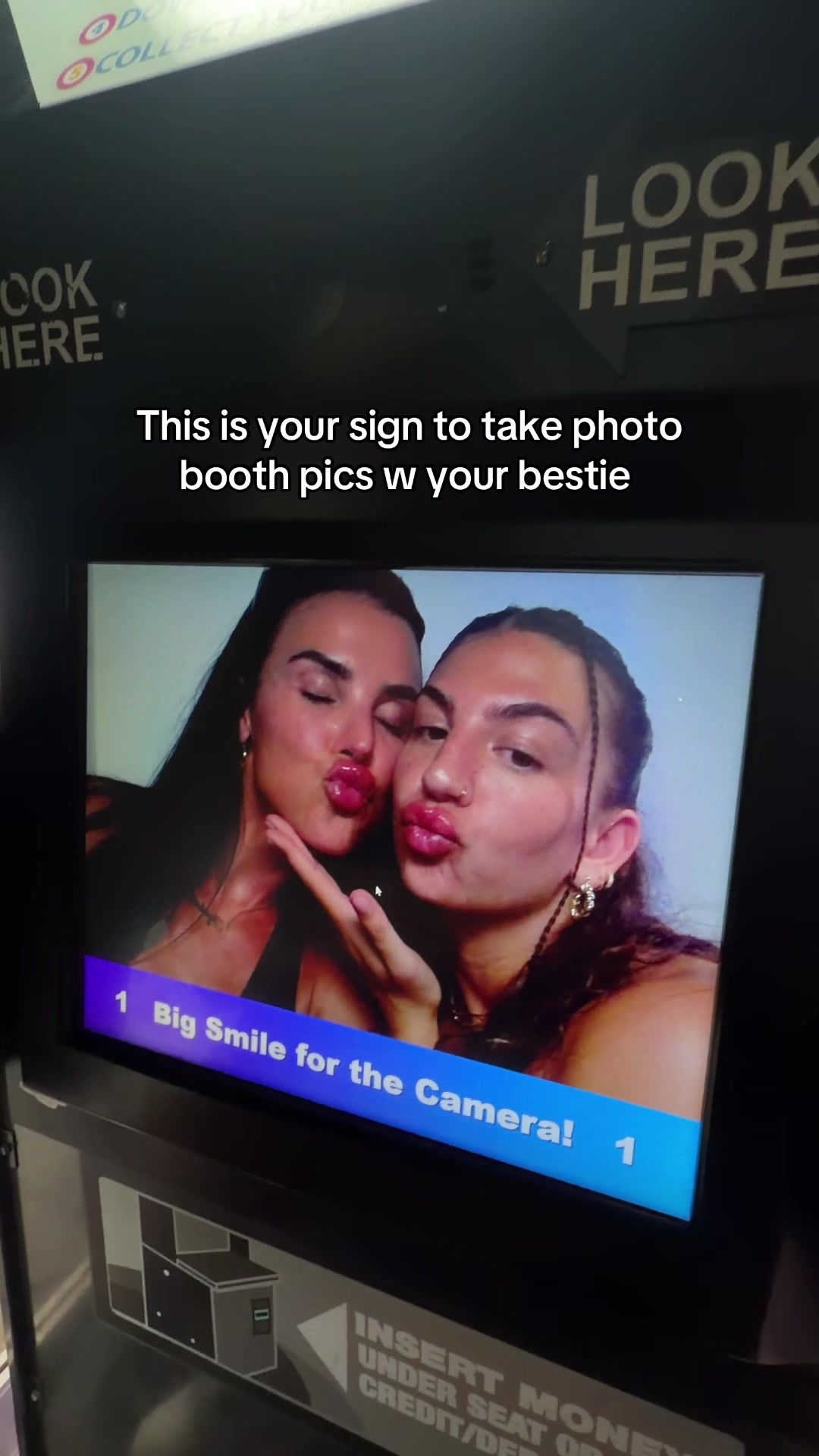 @halliecampanaro
