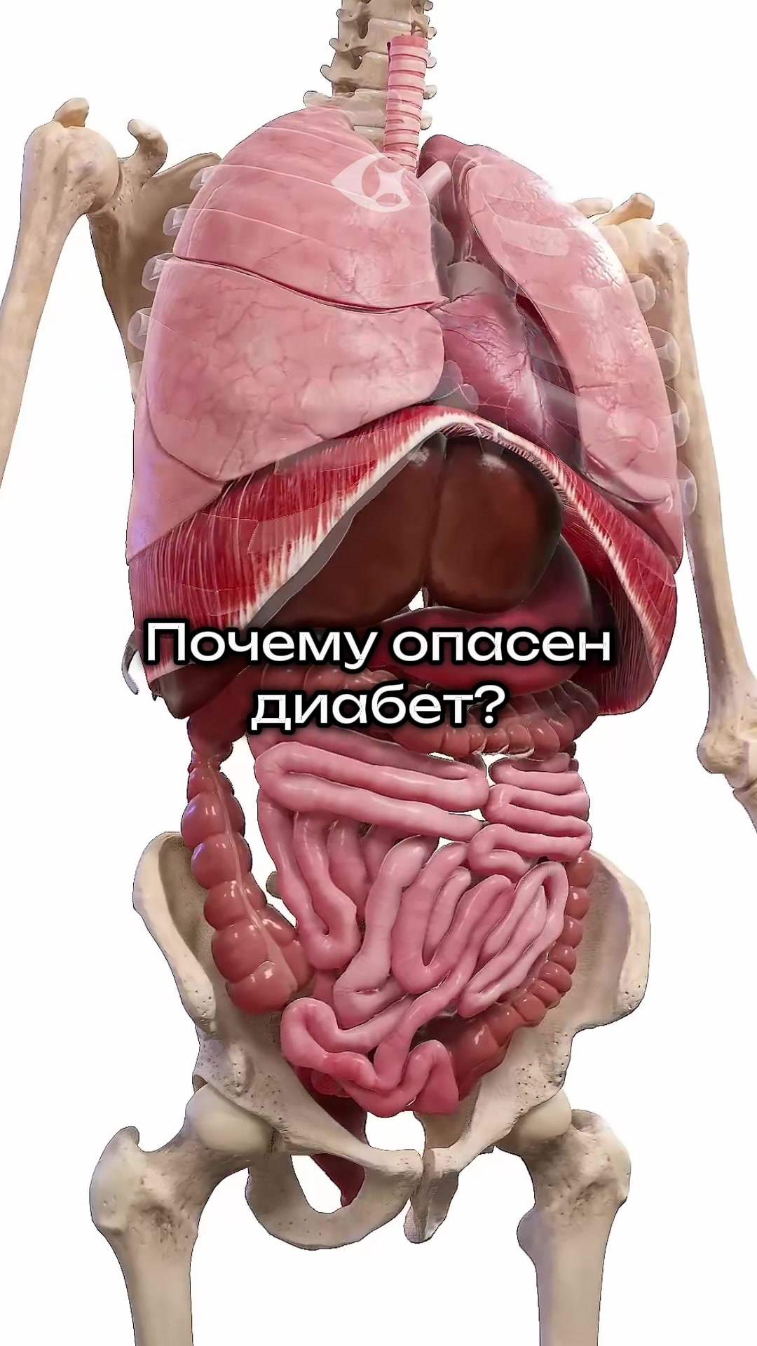 @Curiosity vision