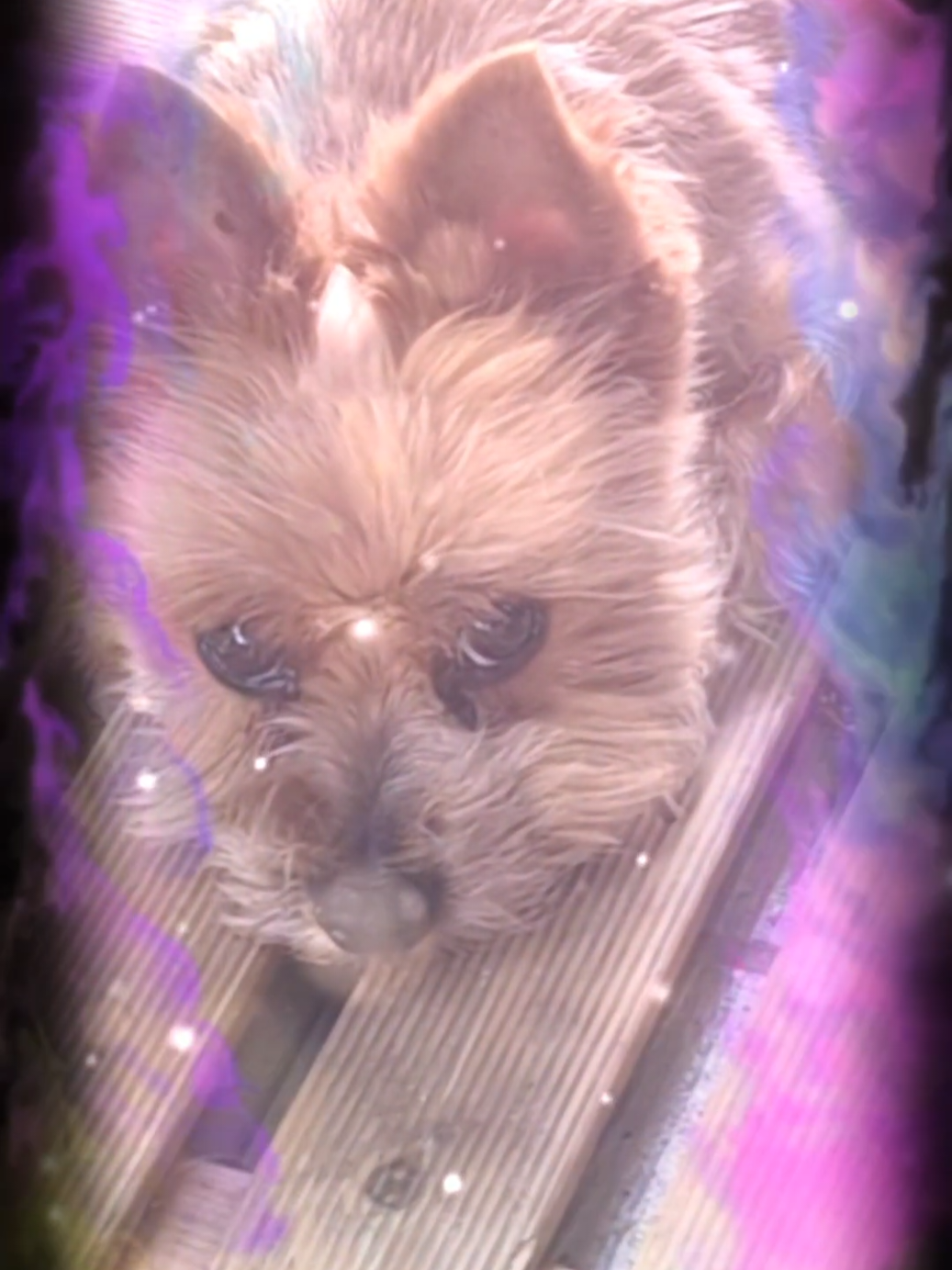 @💫✨❤️missysabelle❤️✨💫