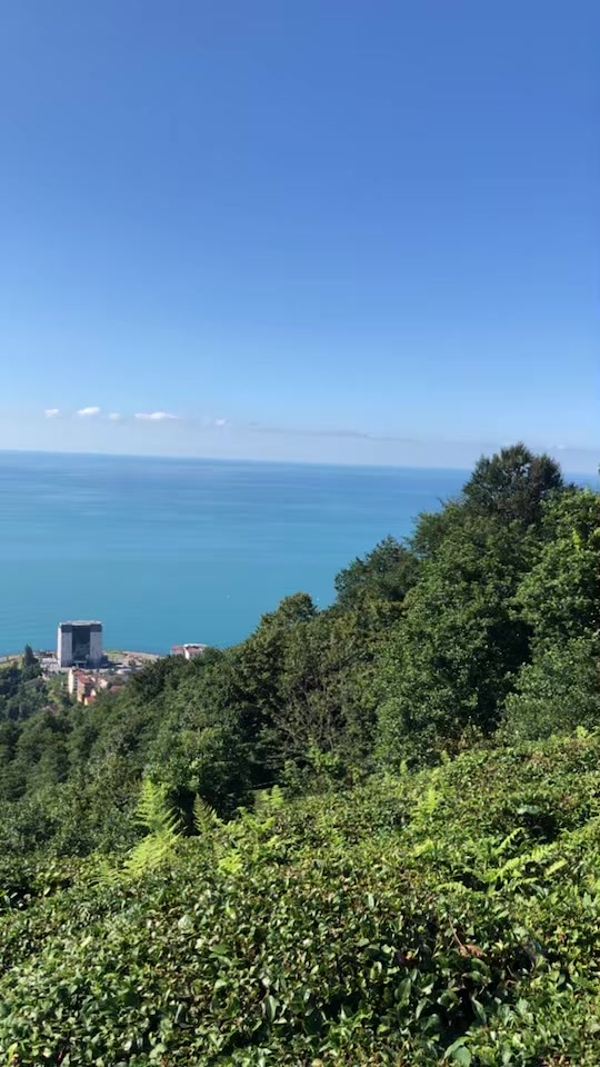 @💚 𝓗𝓪𝓷𝔃𝓪𝓭𝓮💙