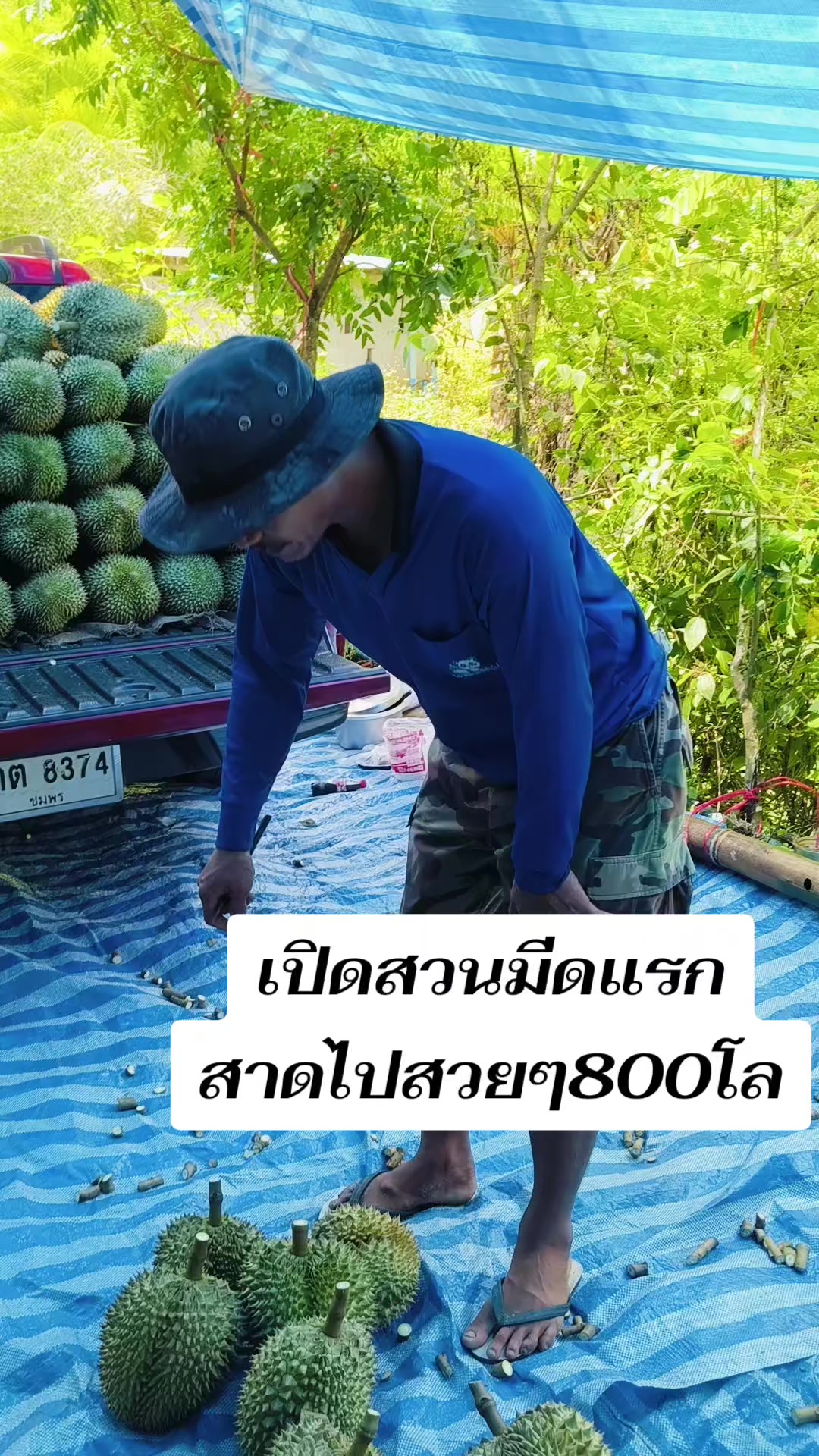 @สุจิตตรา ไชยสงค์