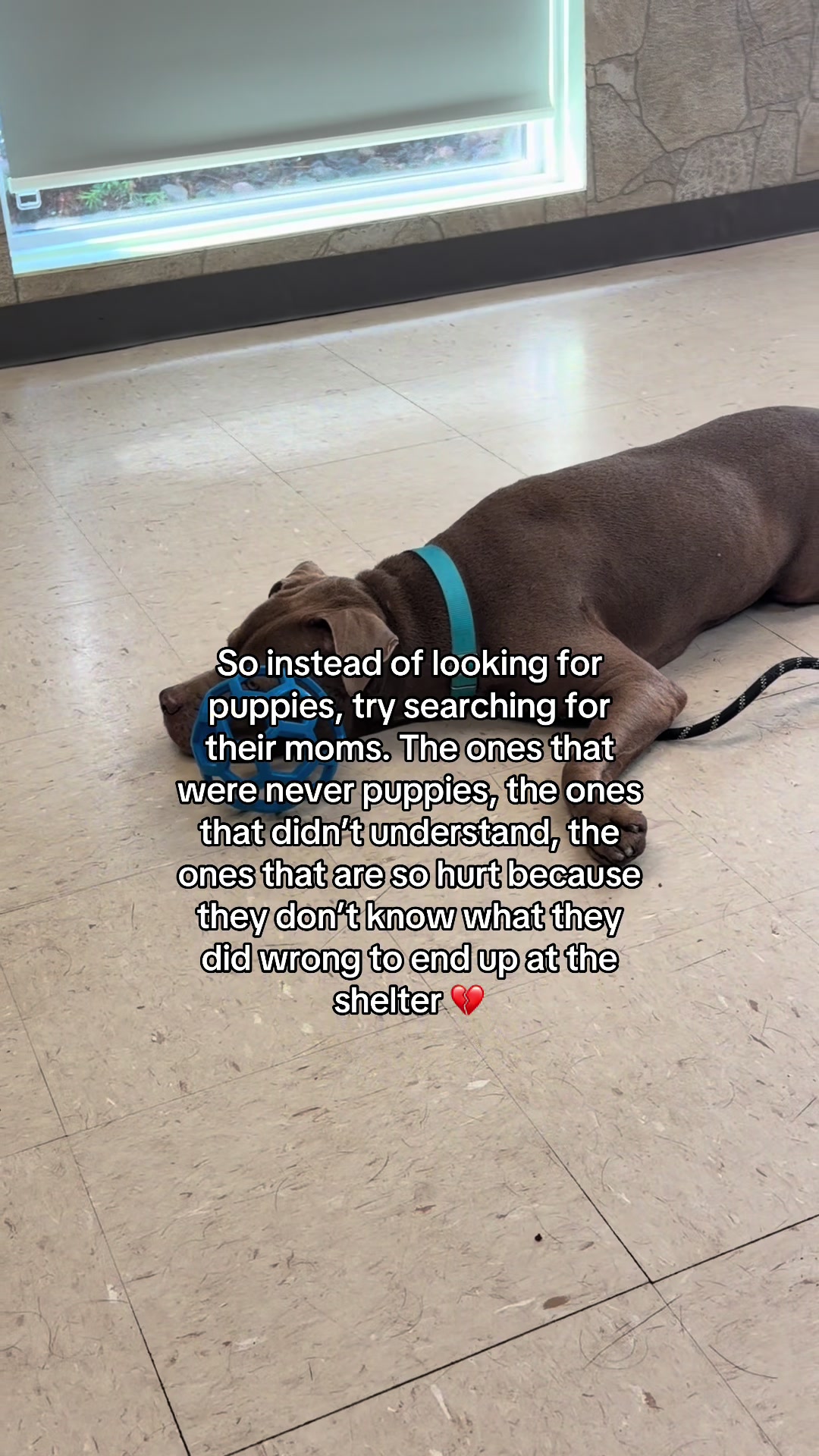 @myTinypurpose