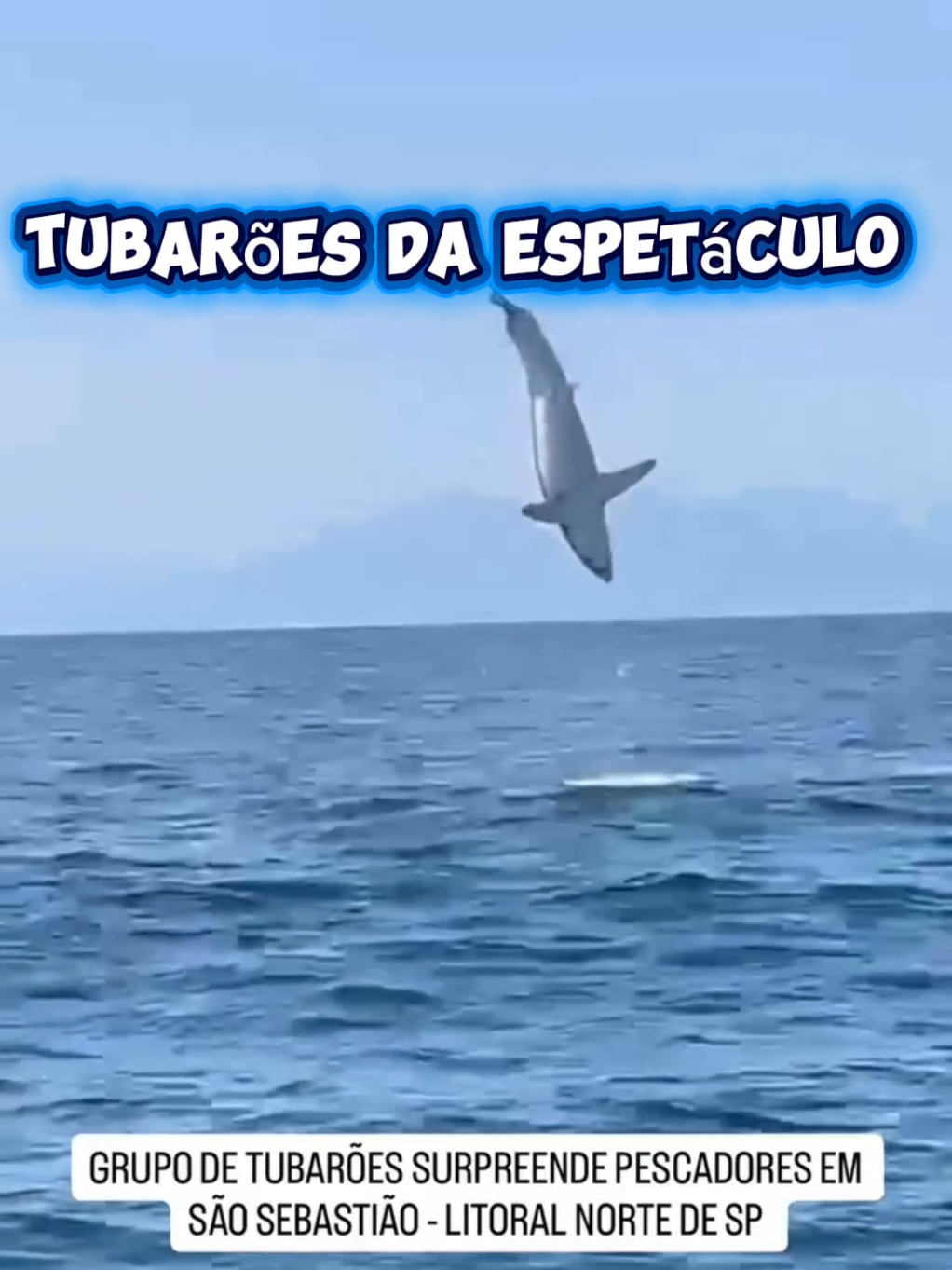 @TRAVEL PINGUIM