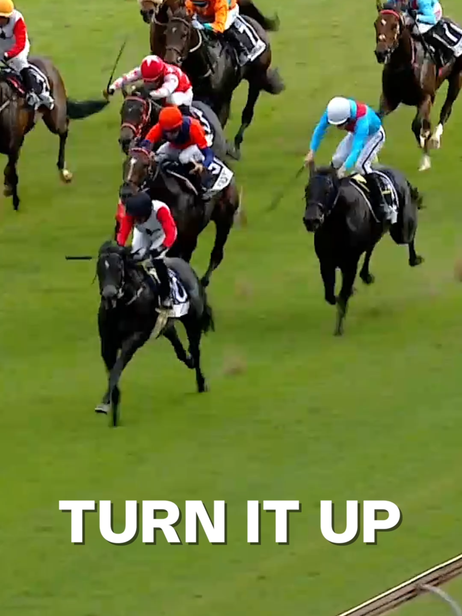 @Gallop TV