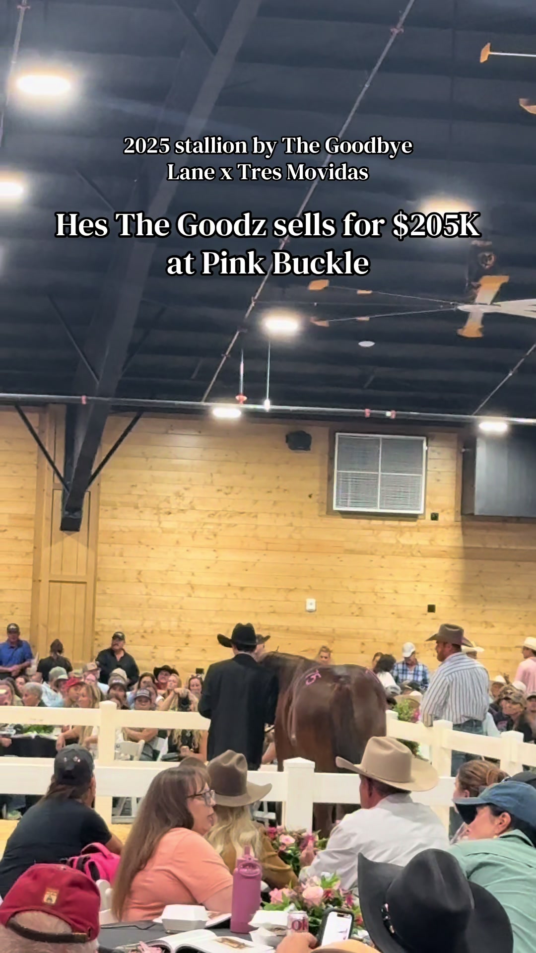 @BarrelRacing.com