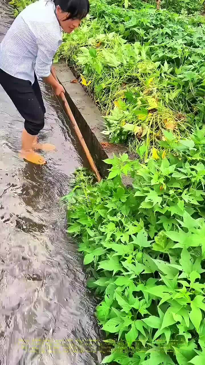 @◉‿◉