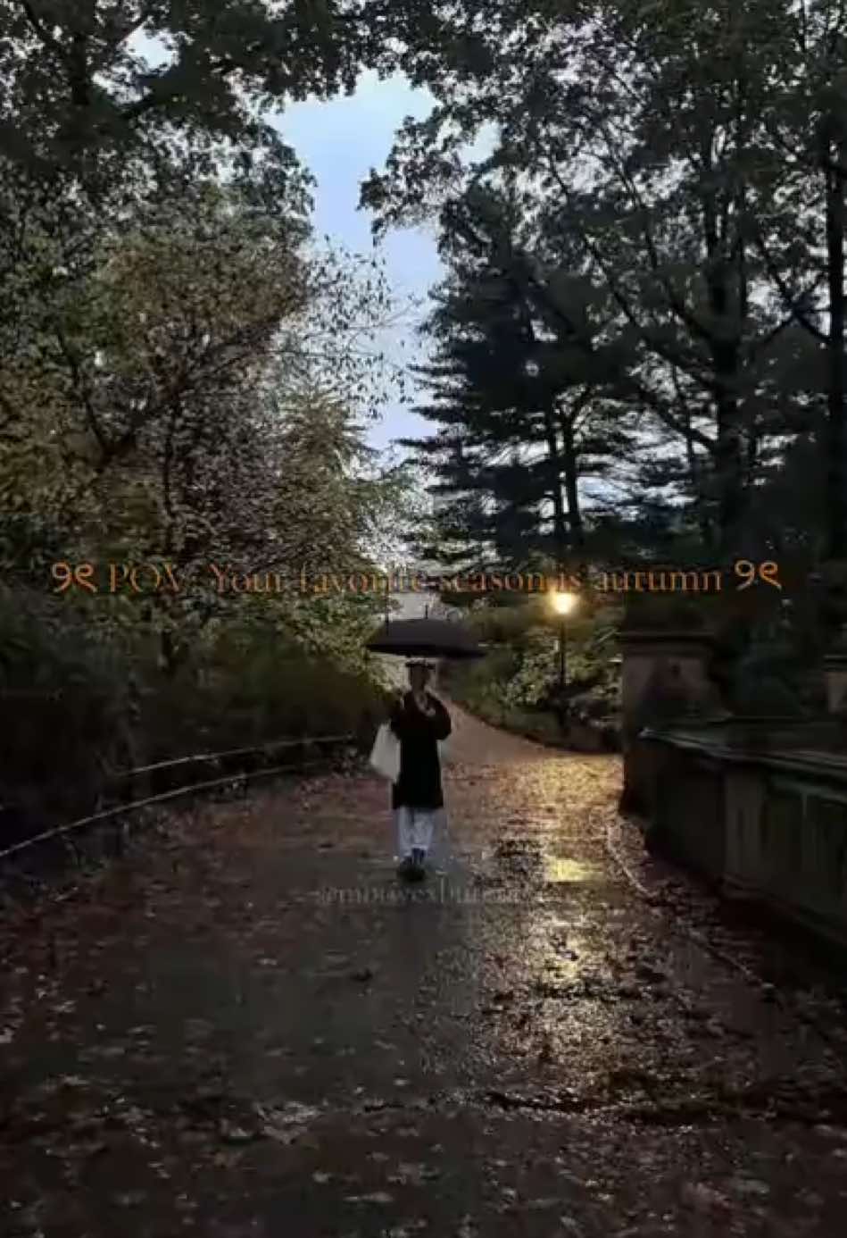 @❀ *&middot;ꕤ ｡˚⋆ฺ