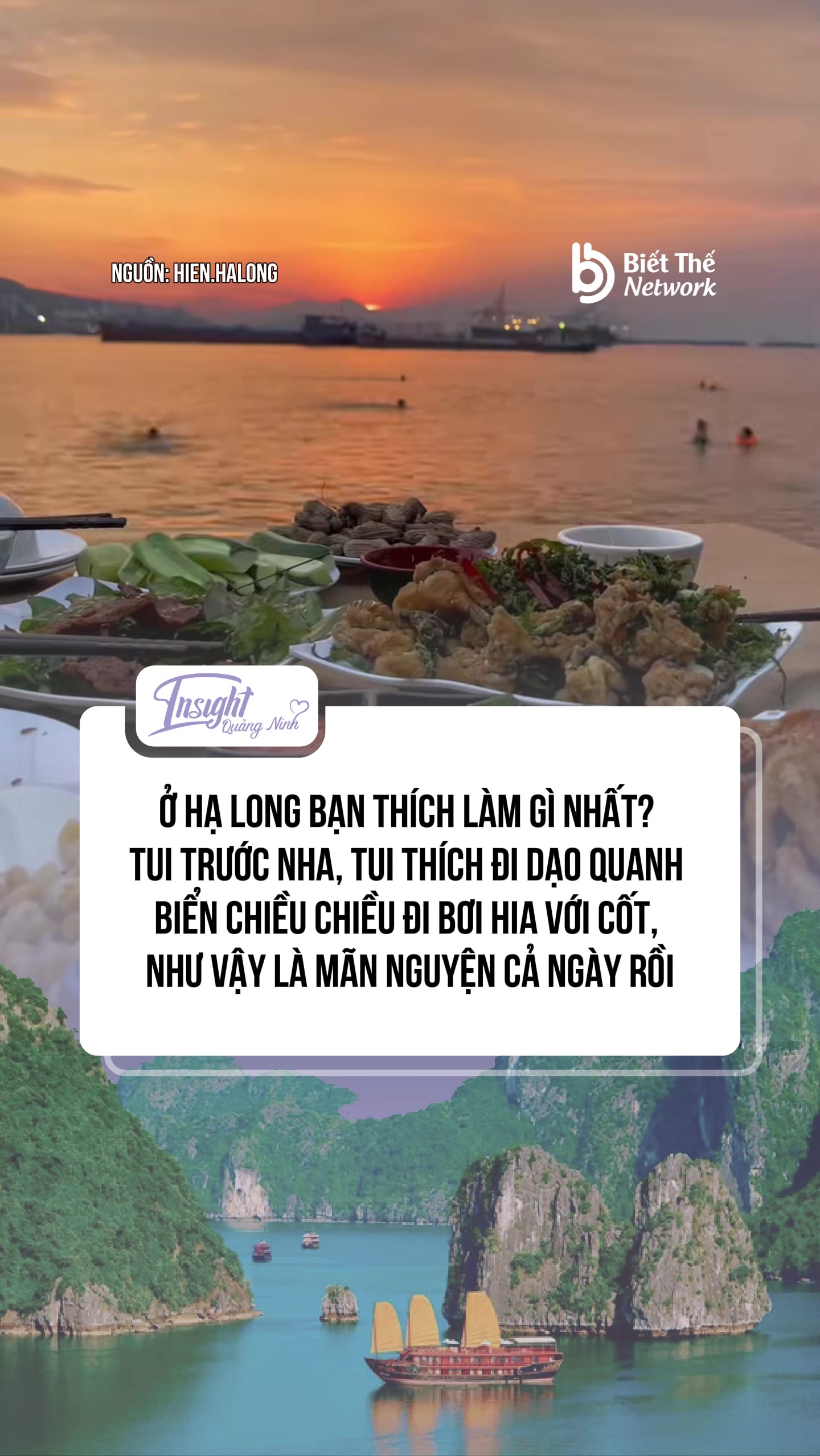 @Insight Quảng Ninh