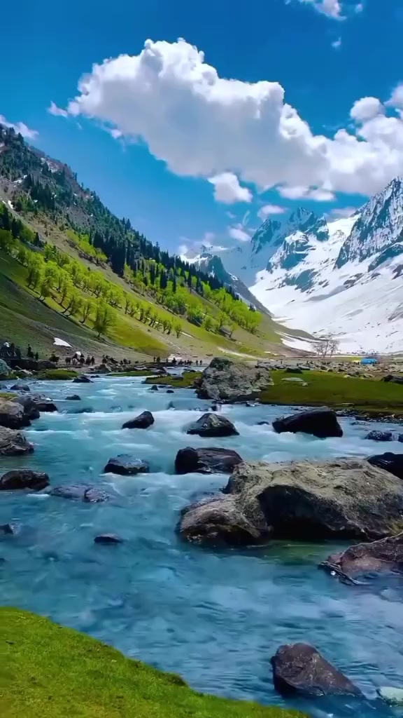 @shekhar