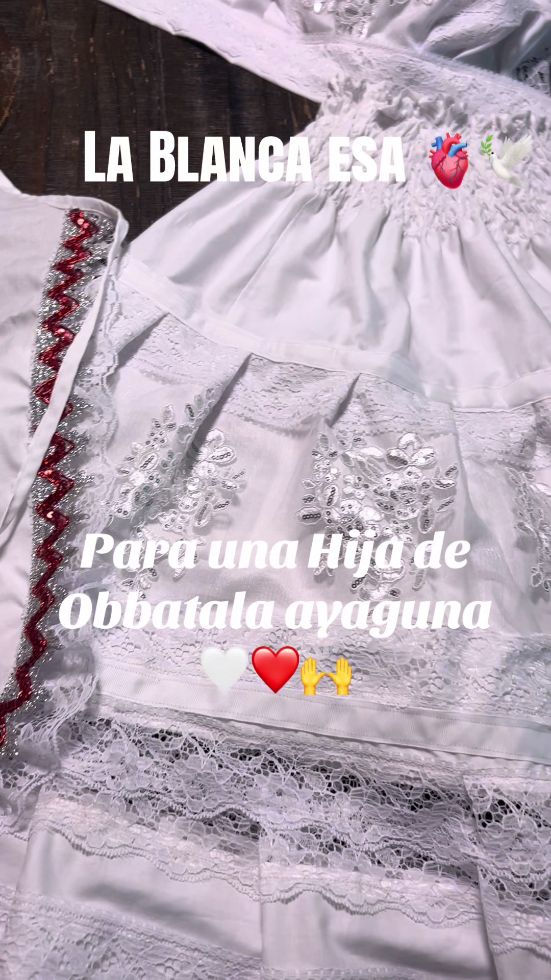 @Lacasadeeggun🤍🖤