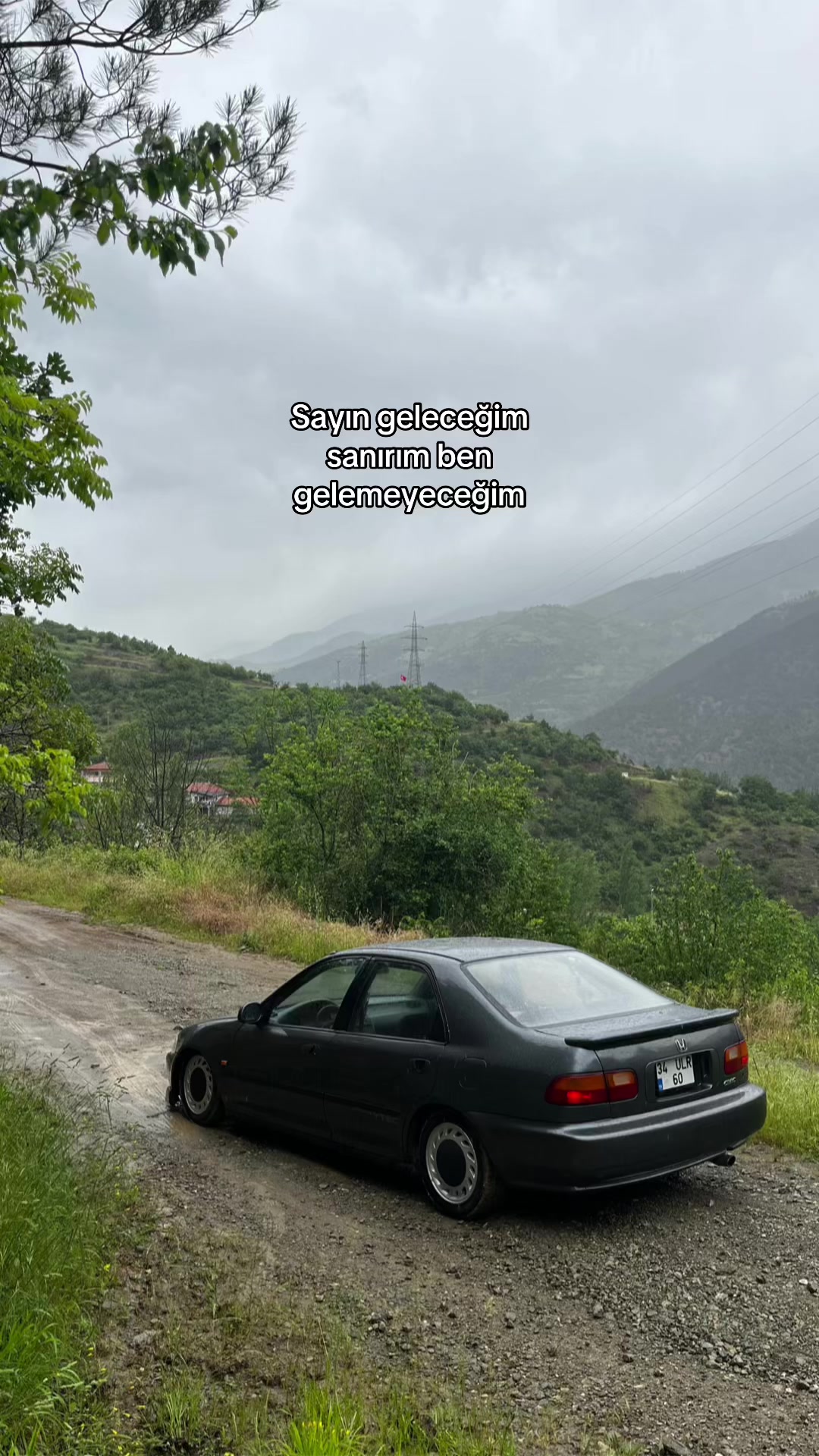 @Selim