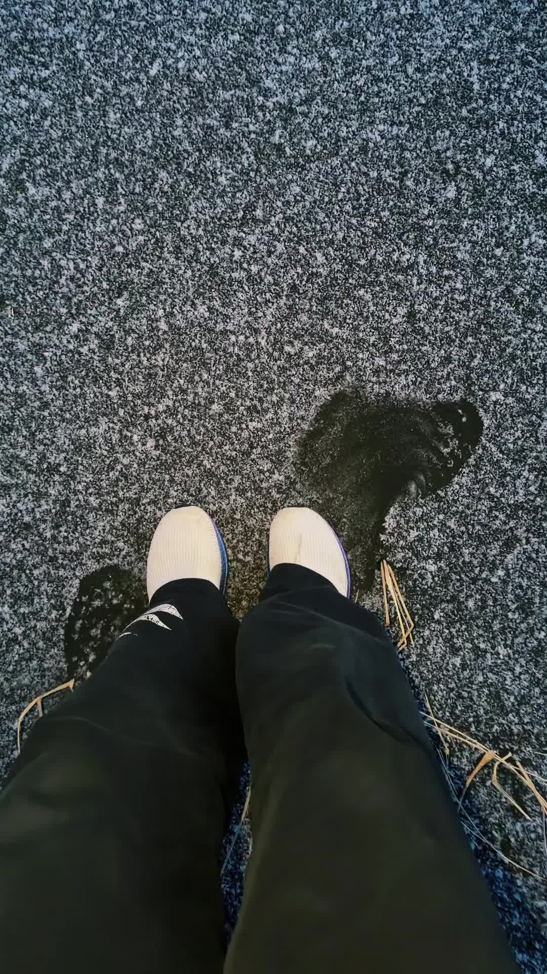 @mega