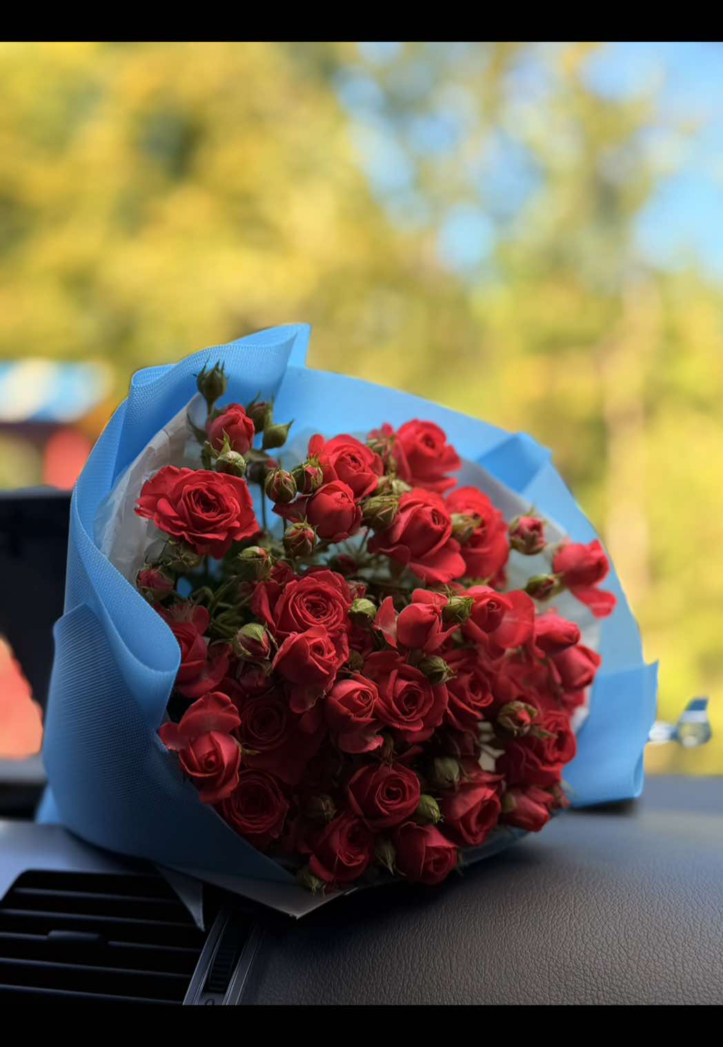 @𝓓𝓲𝓪𝓷𝓴𝓪🍒