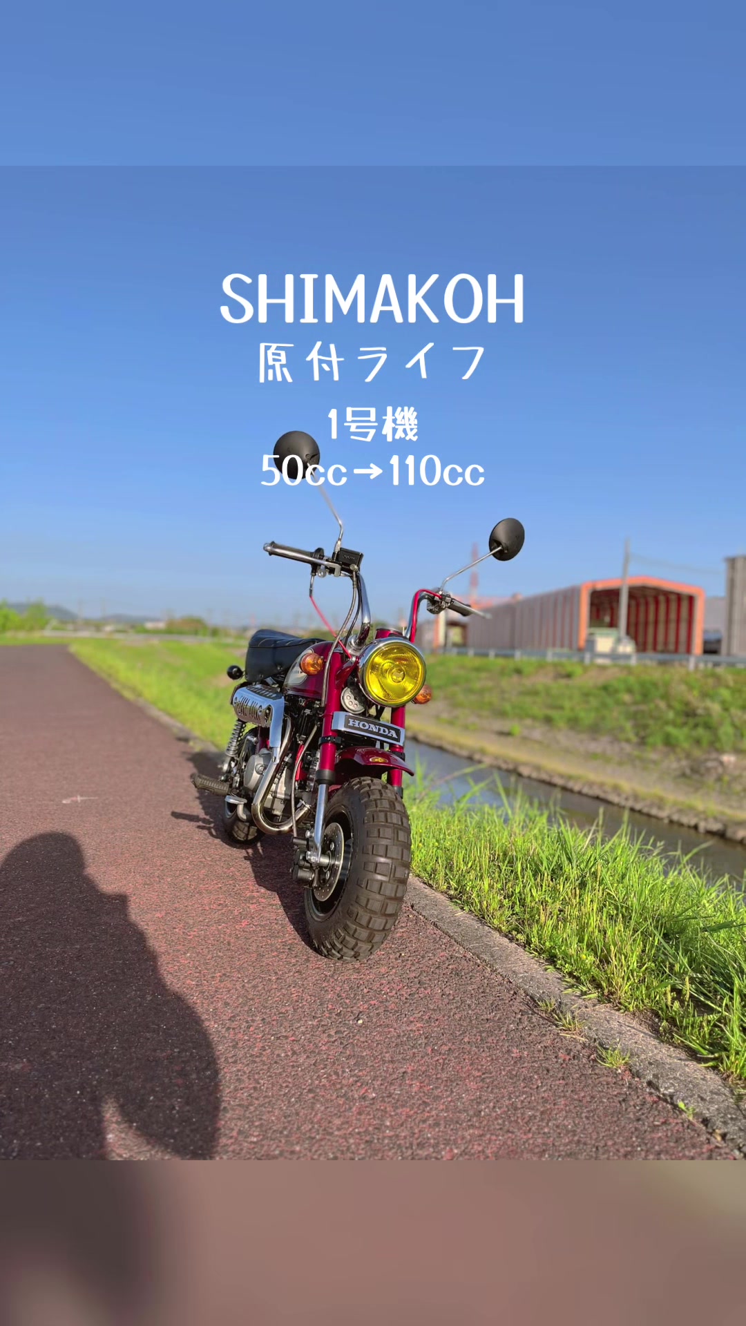 @◽️SHIMAKOH◽️