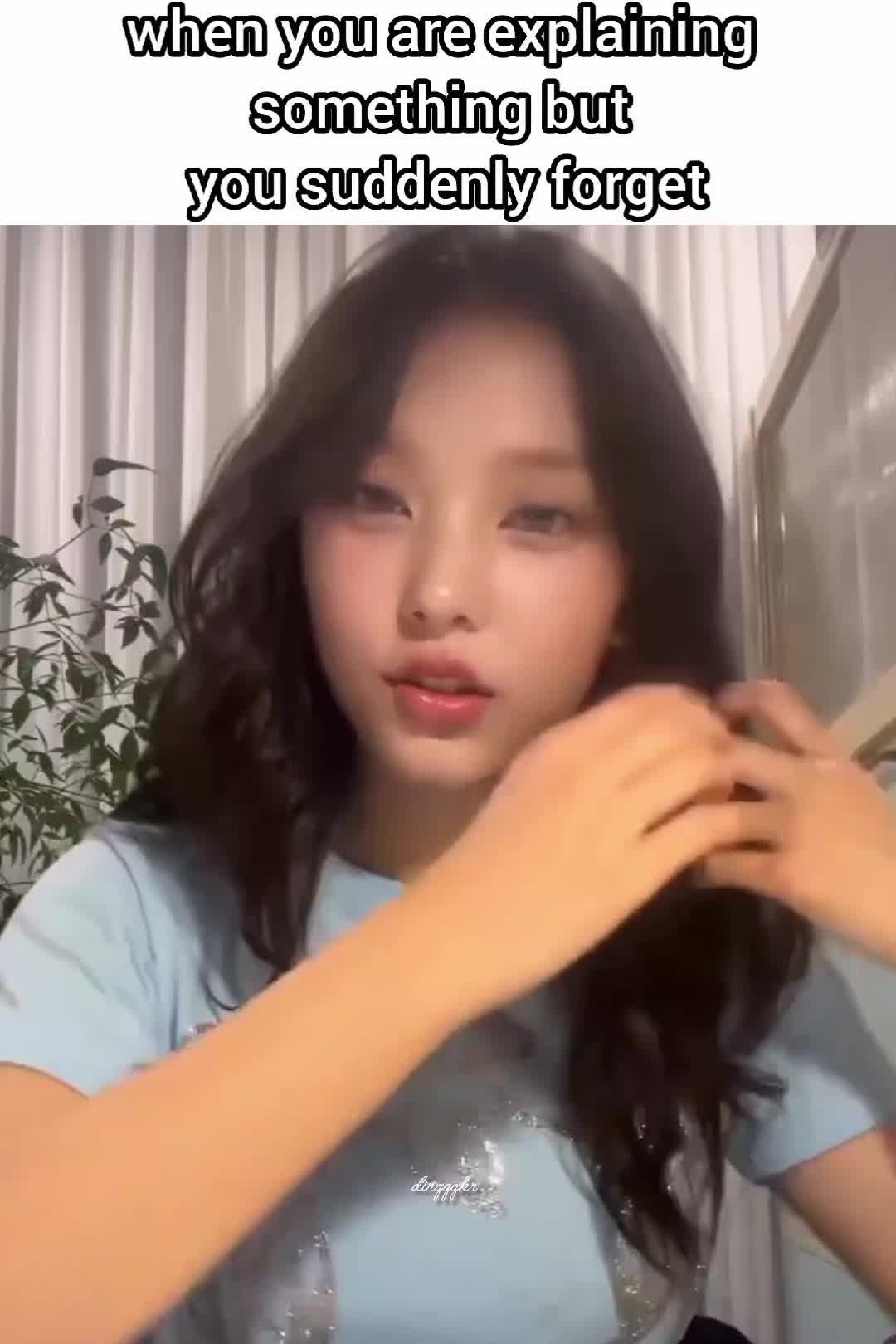 @dinqqqkr