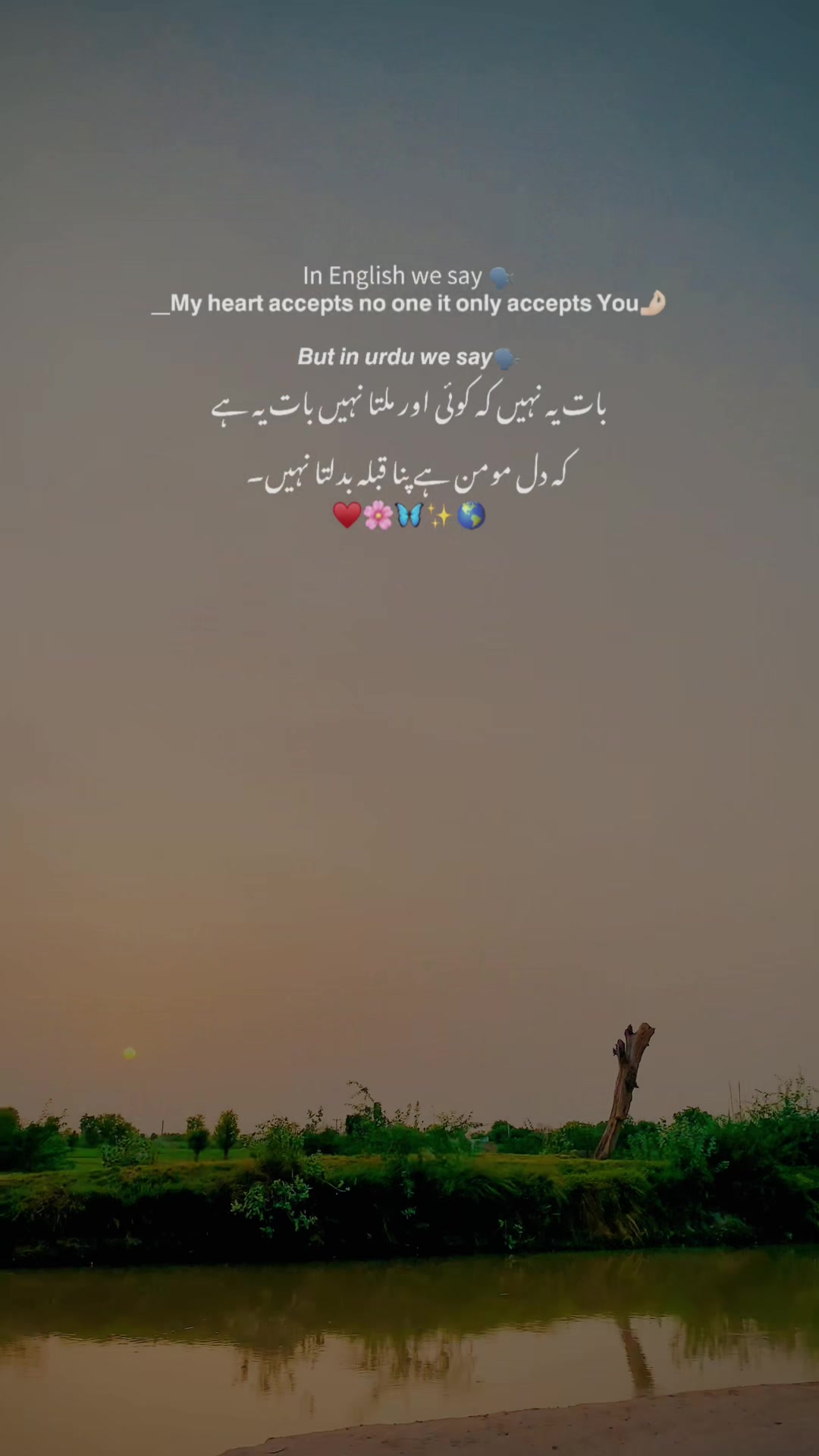 @Adanan Rajput 🫴💔💔💔💔💔😭