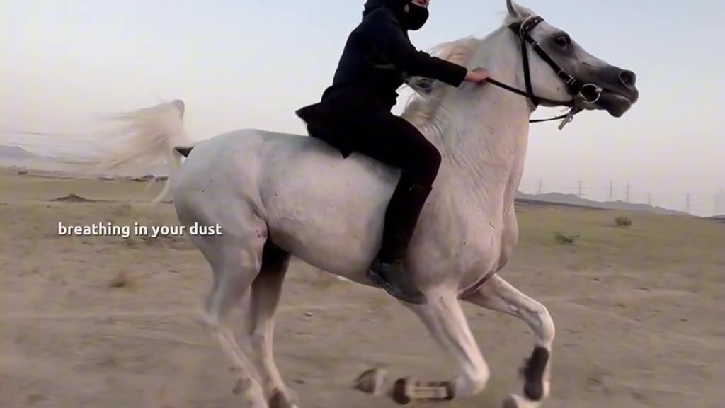 @ميكاسَا العَرب 🌟
