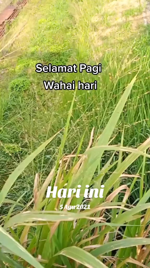 @๐Lina Herlina_