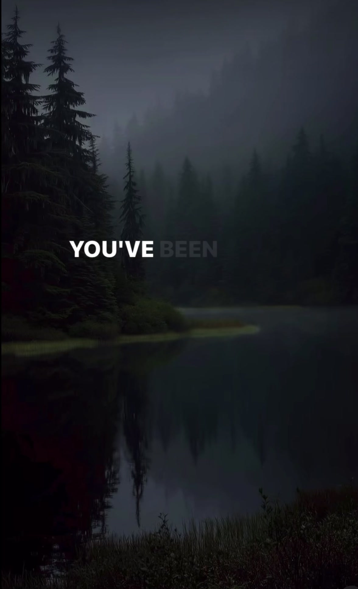 @Logan