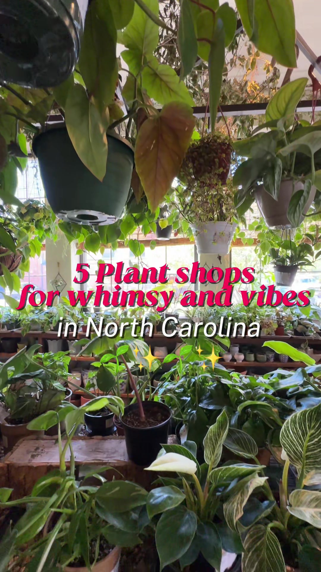 @Christina | NC Tripping
