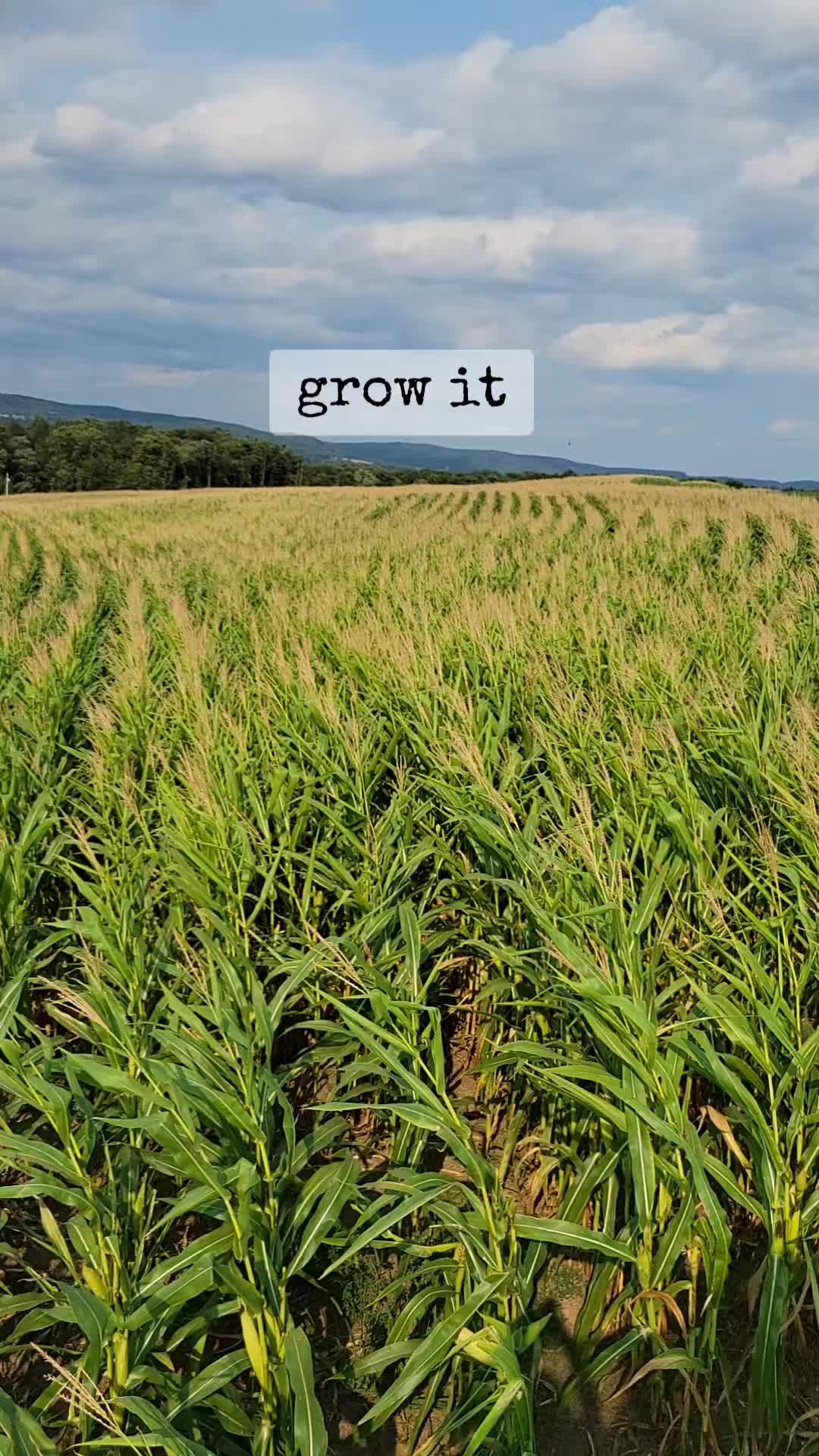 @Just Another FarmFluencer