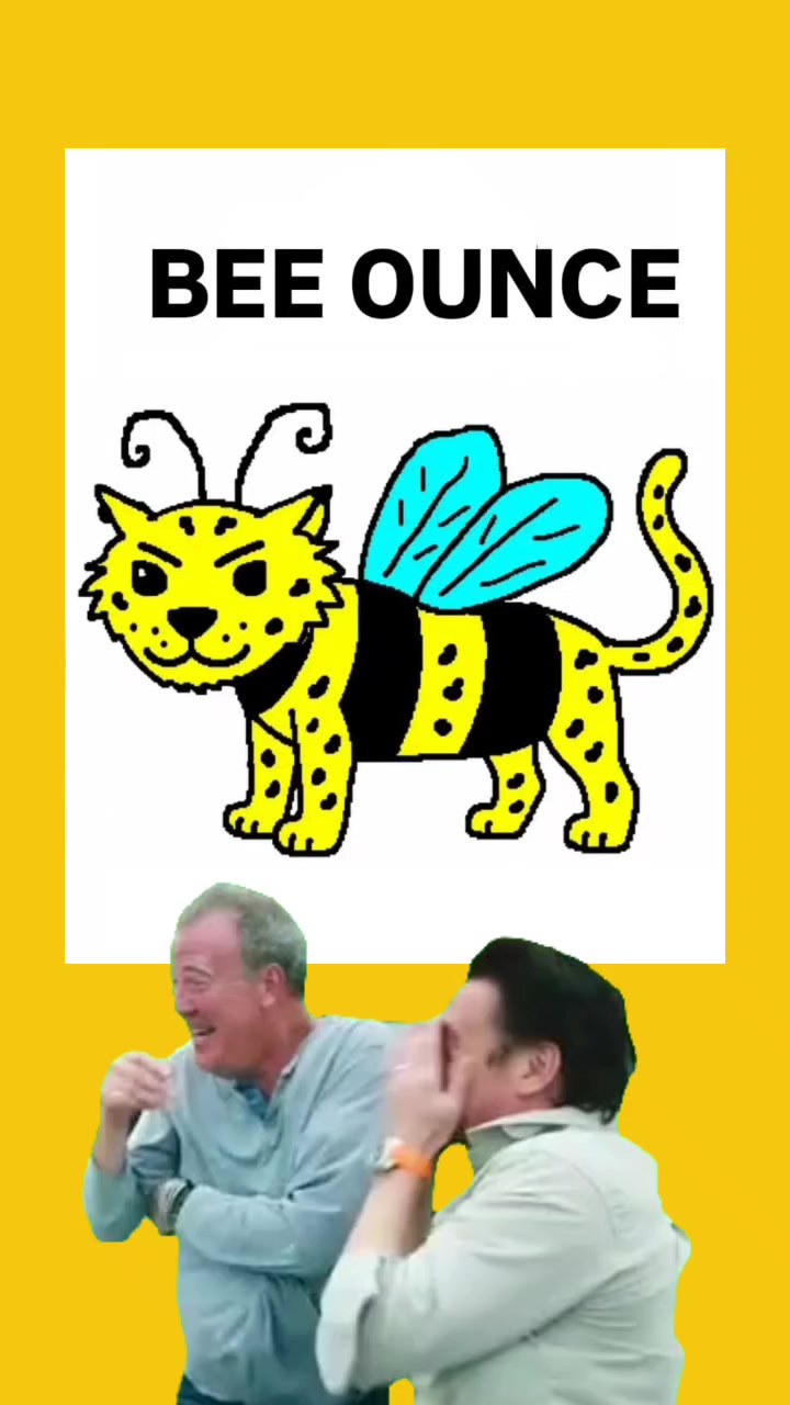 @Z&eacute; Zuero