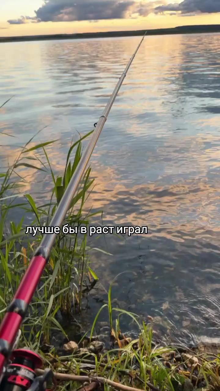 @xsanax🩸