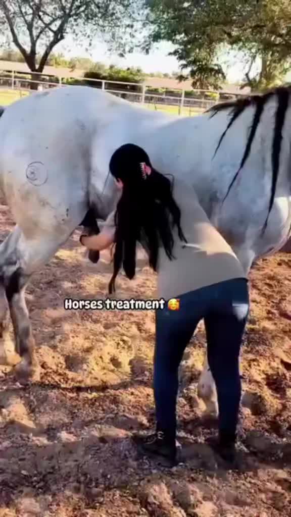 @Wild life
