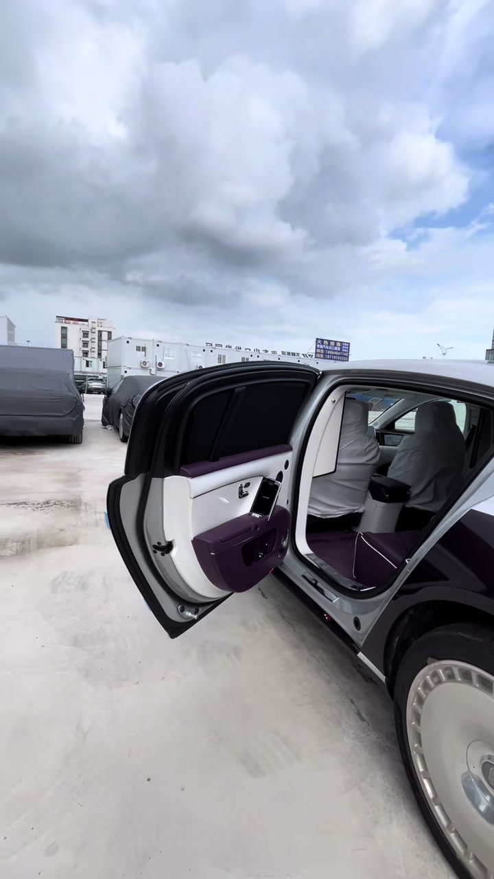 @China EV Export Cars Supplier