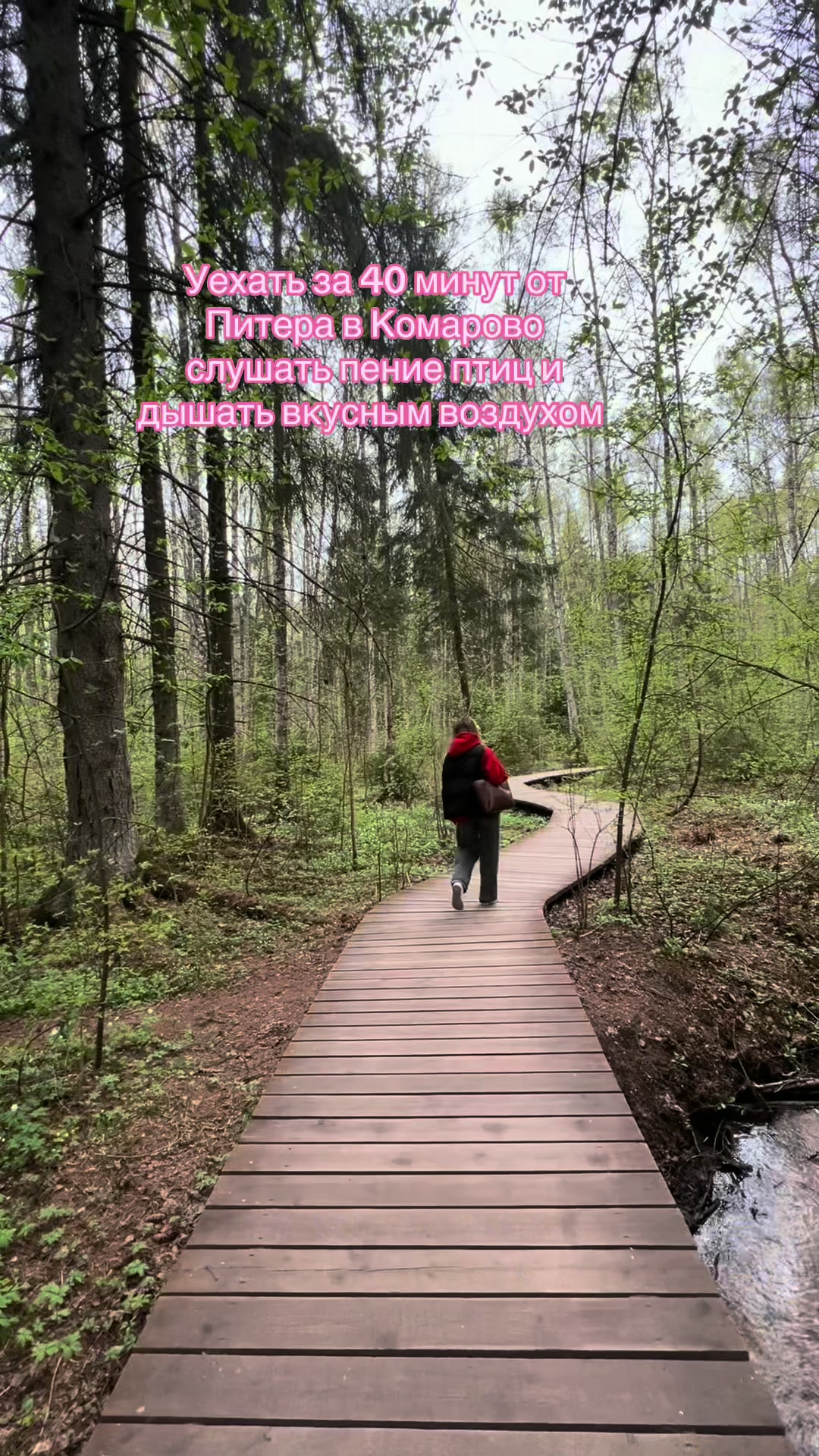 @runtsdaria